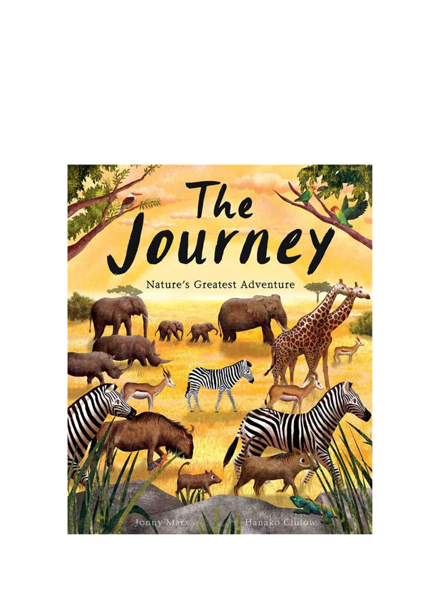 The Journey : Nature's Greatest Adventure Çocuk Yabancı Dil Kitabı