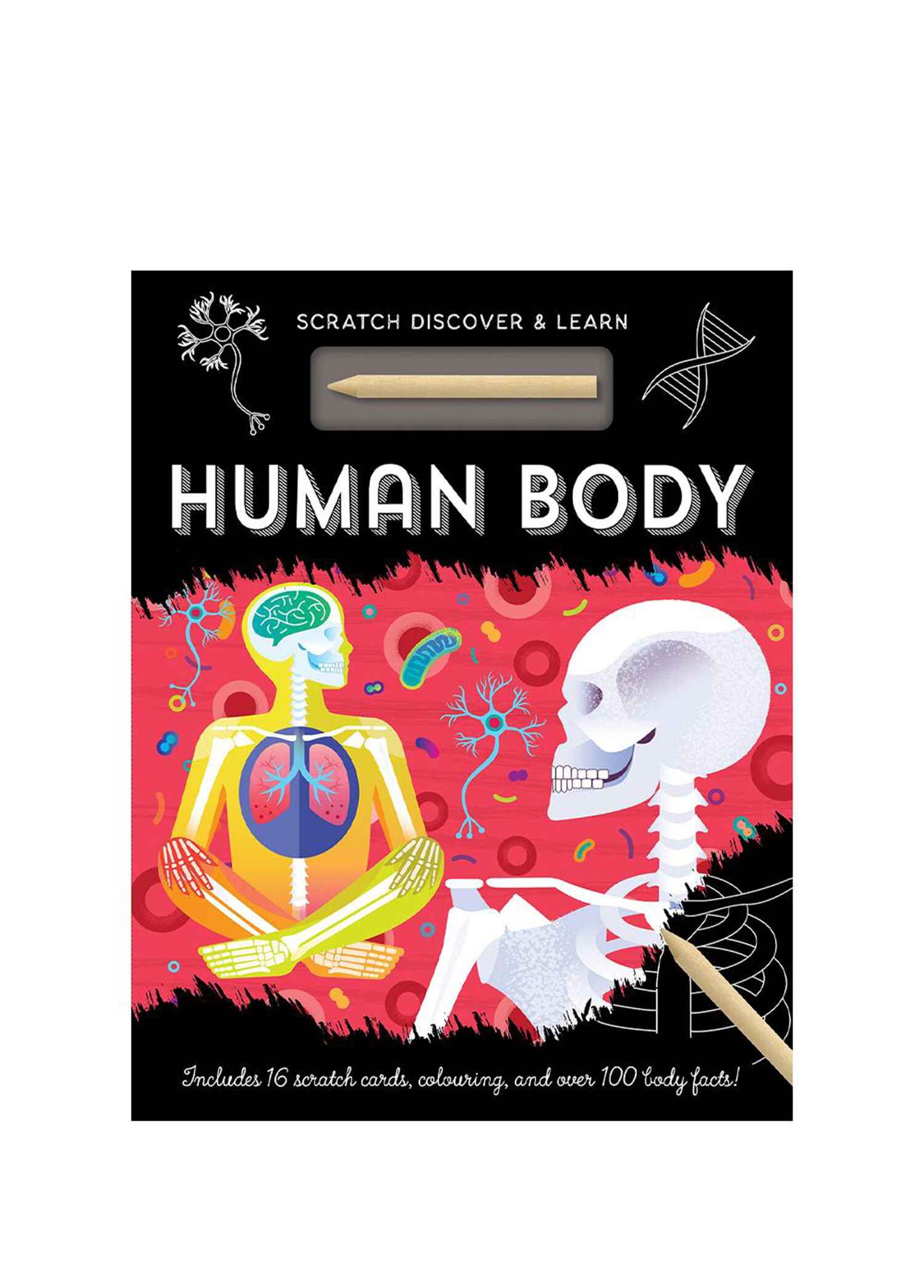 Human Body - Scratch, Discover And Learn Çocuk Yabancı Dil Aktivite Kitabı