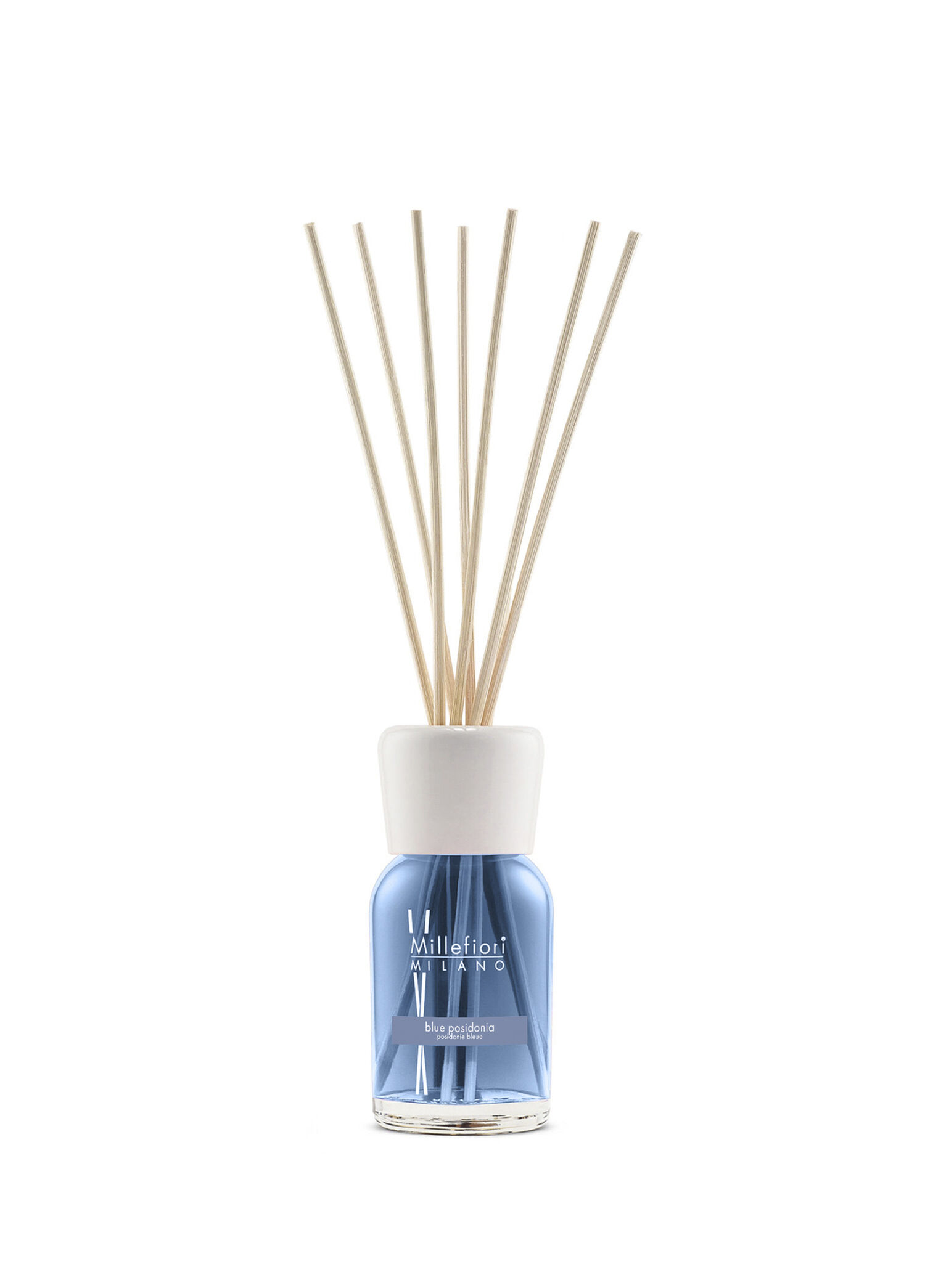 Blue Posidonia Oda Kokusu 100 ml