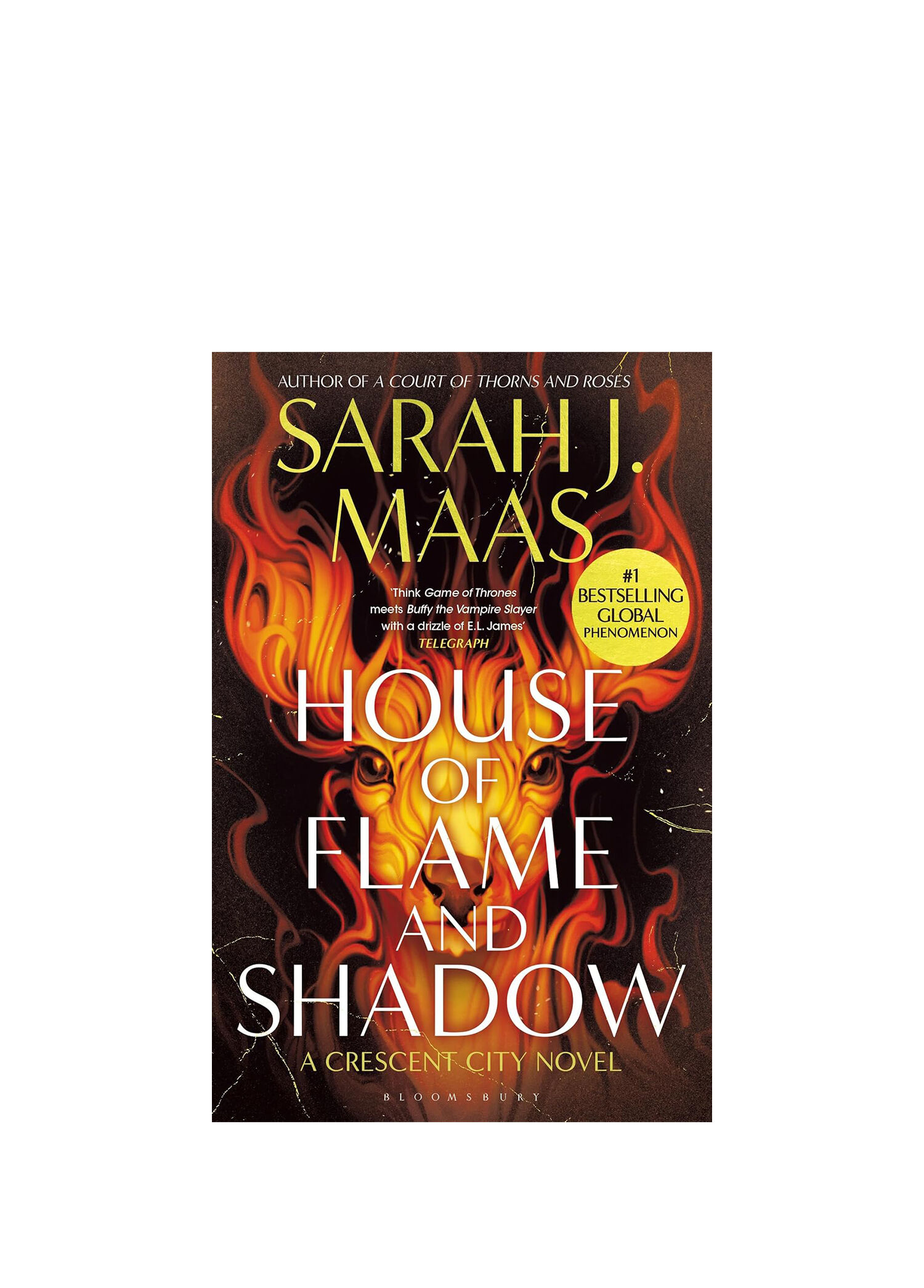 House of Flame And Shadow Yabancı Dil Kitabı