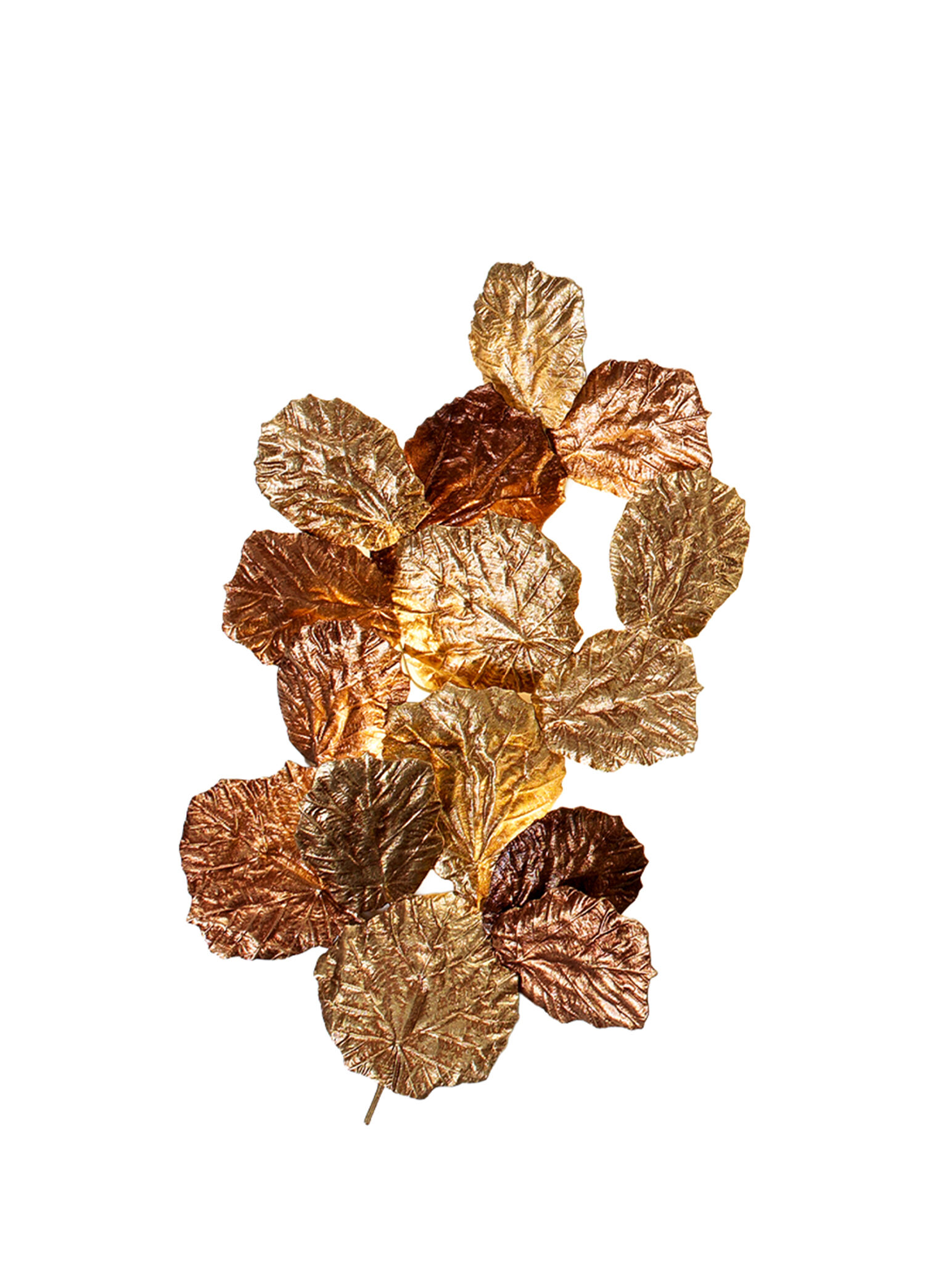 Pathleaf Gold Pirinç Led Aplik