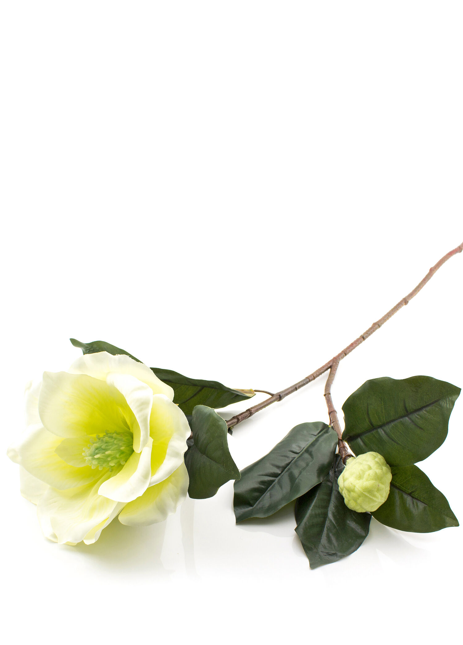 Krem Manolya Yapay Çiçek 86 cm