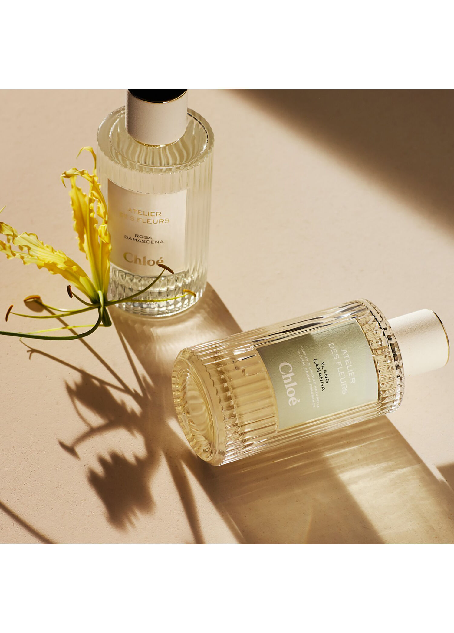 Chloe - Atelier Des Fleurs Ylang Cananga Edp 150 ml Perfum