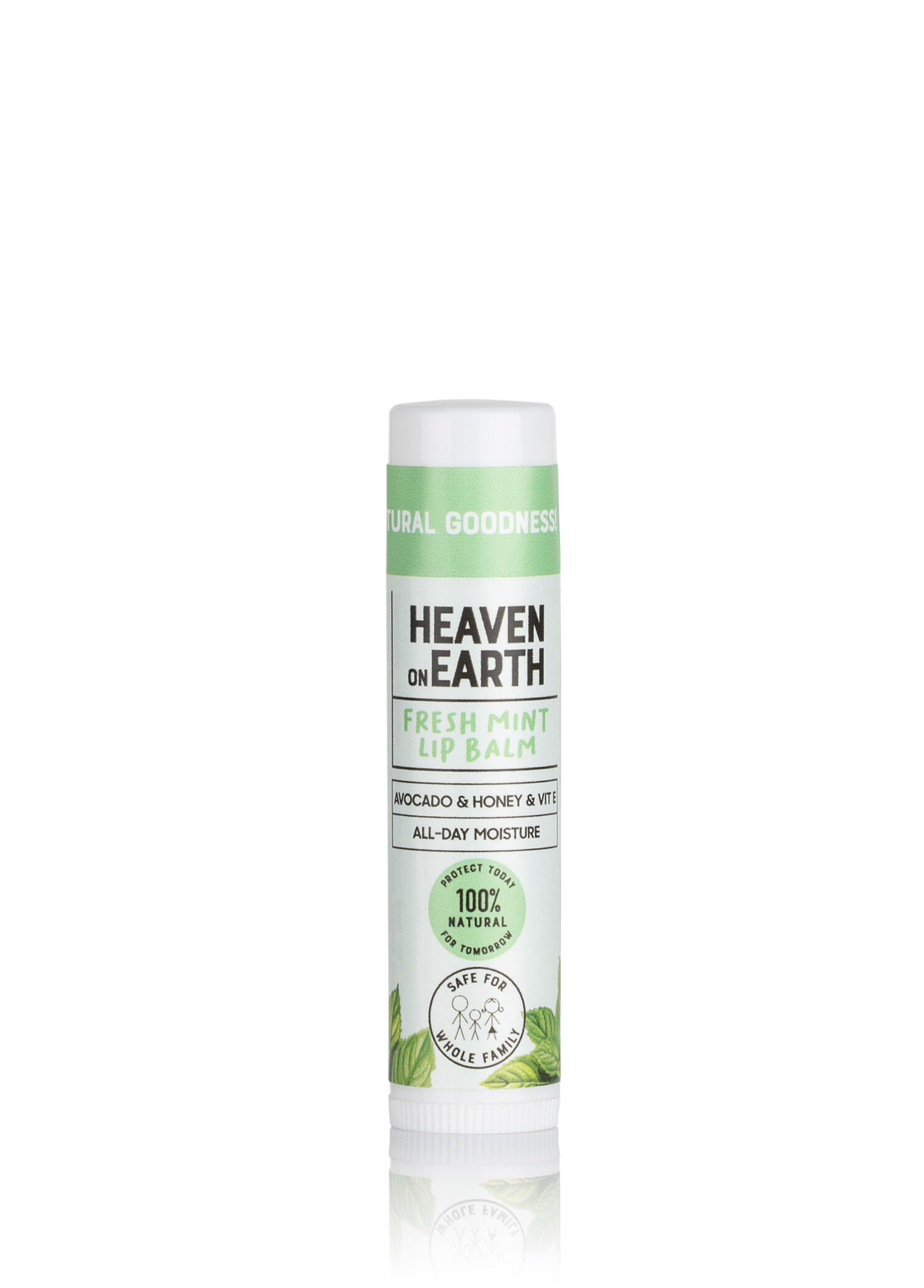 Doğal ve Organik Fresh Mint Lip Balm Nemlendirici Besleyici Naneli Dudak Bakım Kremi