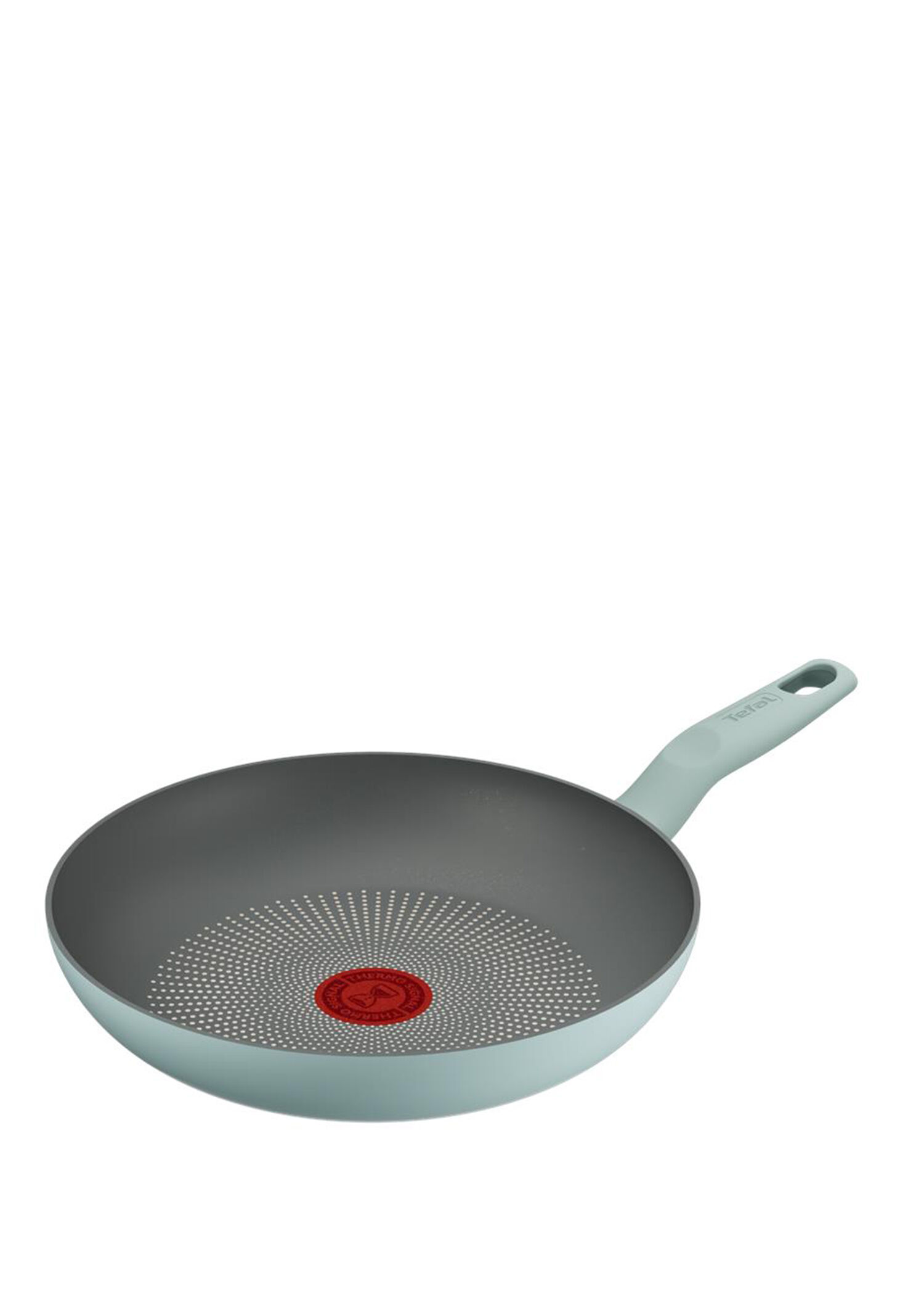 Halo Okaliptus Yeşil Alüminyum Tava 24 cm