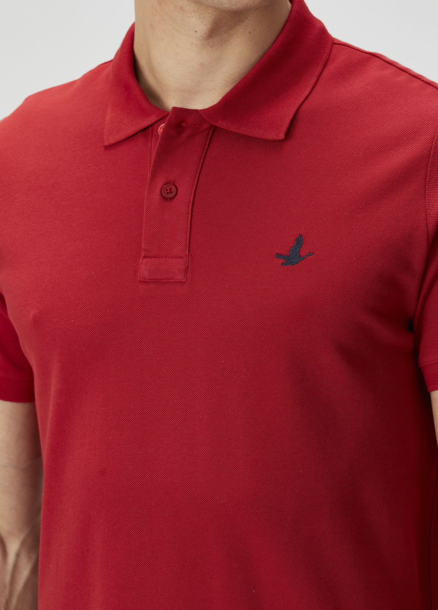 Bordo Polo Yaka T-shirt_4