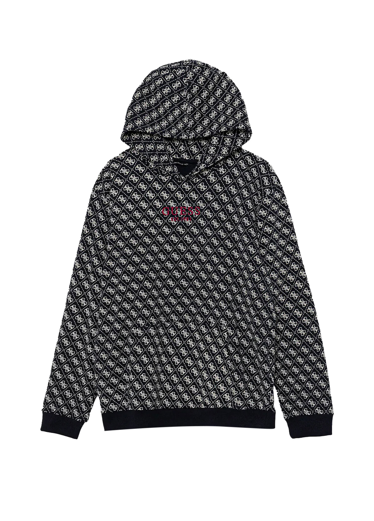 Baskılı Mavi Kapüşonlu Erkek Çocuk Sweatshirt