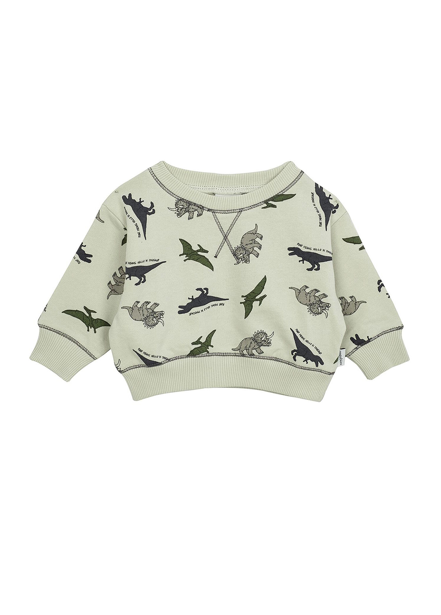 Dinazorların Macerası Erkek Bebek Sweatshirt