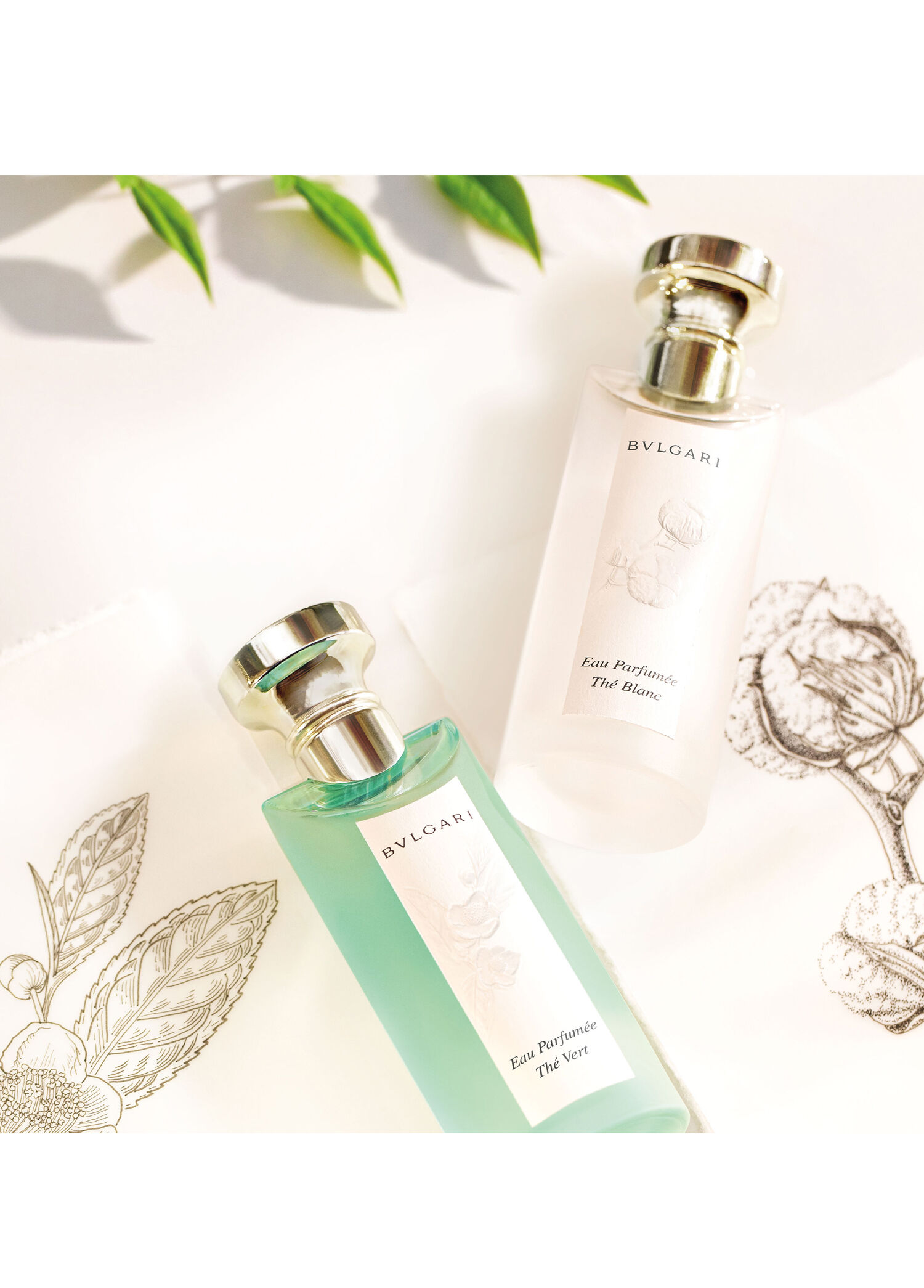 Bvlgari - Thé Blanc EDT 150 ml Unisex Parfüm -