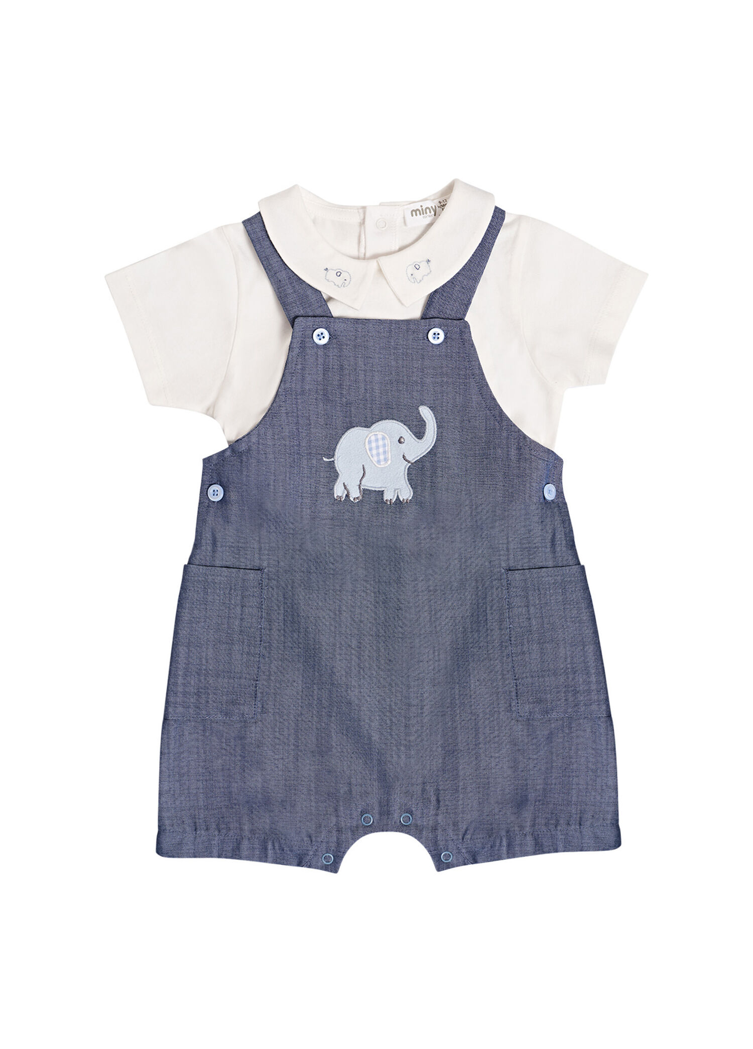 Fil Nakış Detaylı Kısa Kollu T-Shirt Salopet Erkek Bebek 2'li Set