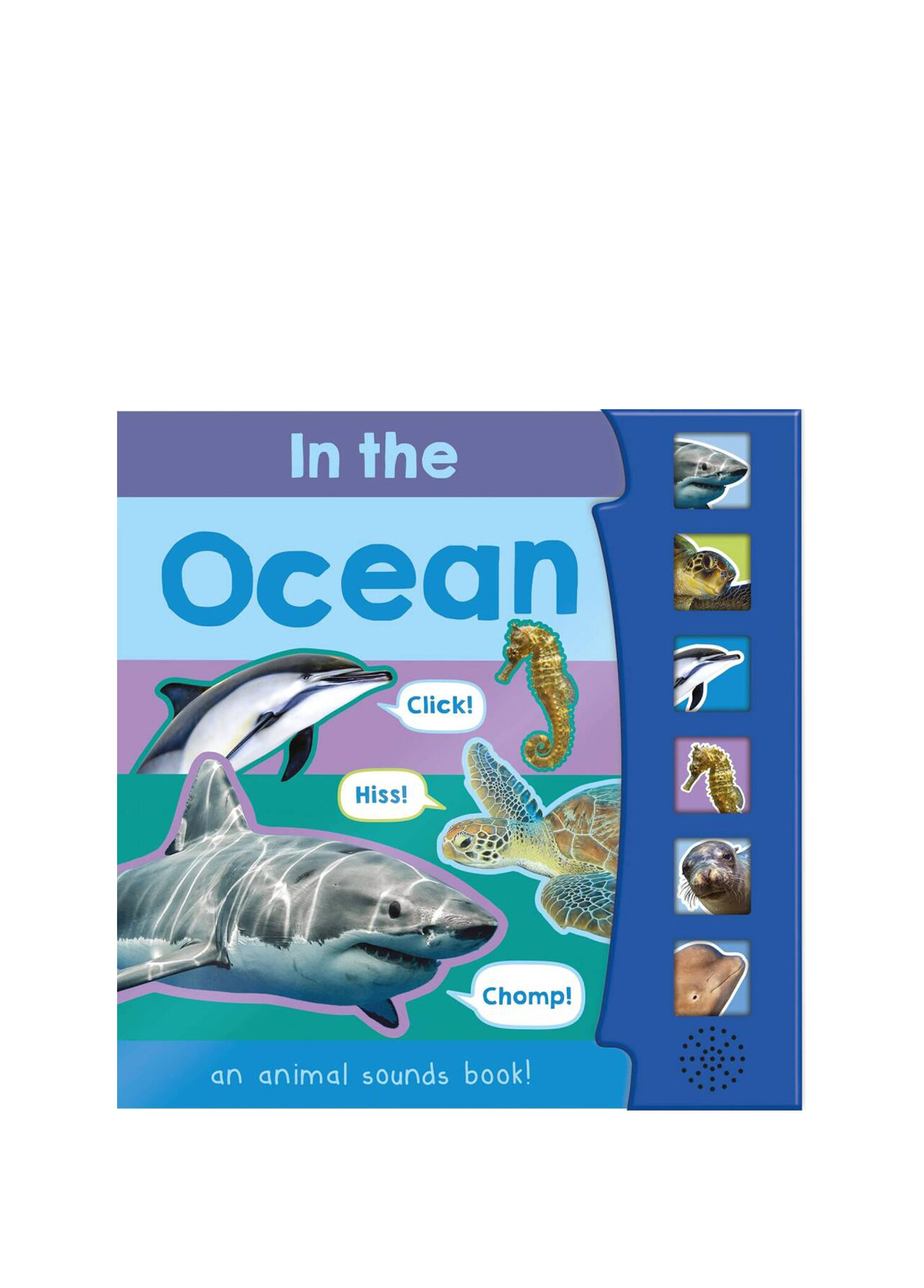 In the Ocean 6 Button Sound Book Yabancı Dil Sesli Çocuk Kitabı