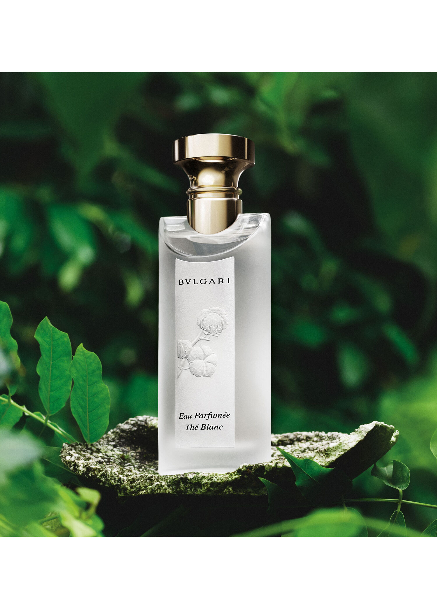 Bvlgari - Thé Blanc EDT 75 ml Unisex Parfüm -