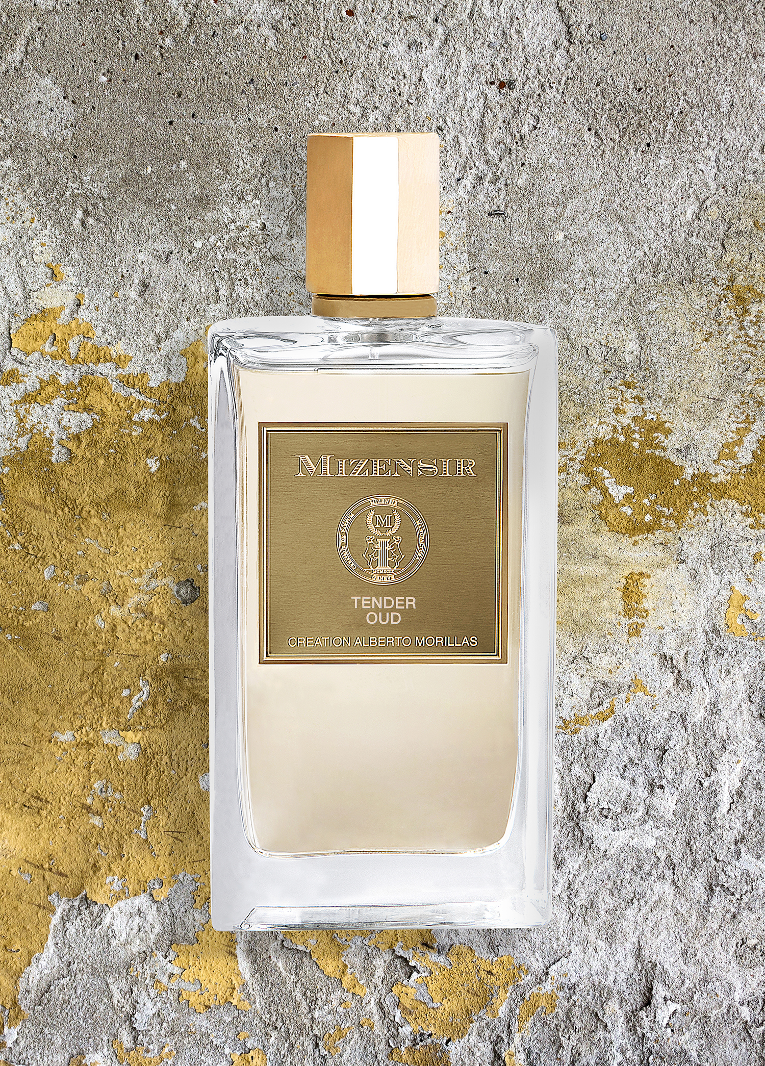 Mizensir Mizensir Tender Oud 100ml EDP Spray