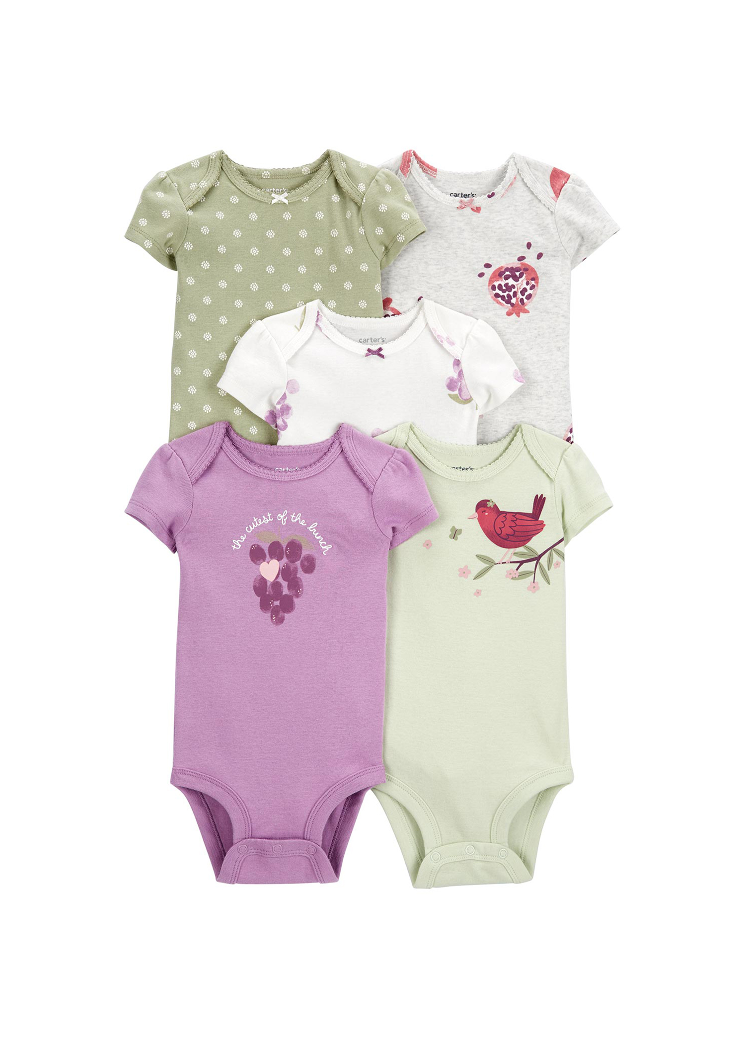 Kız Bebek Kısa Kollu 5'li Body Set