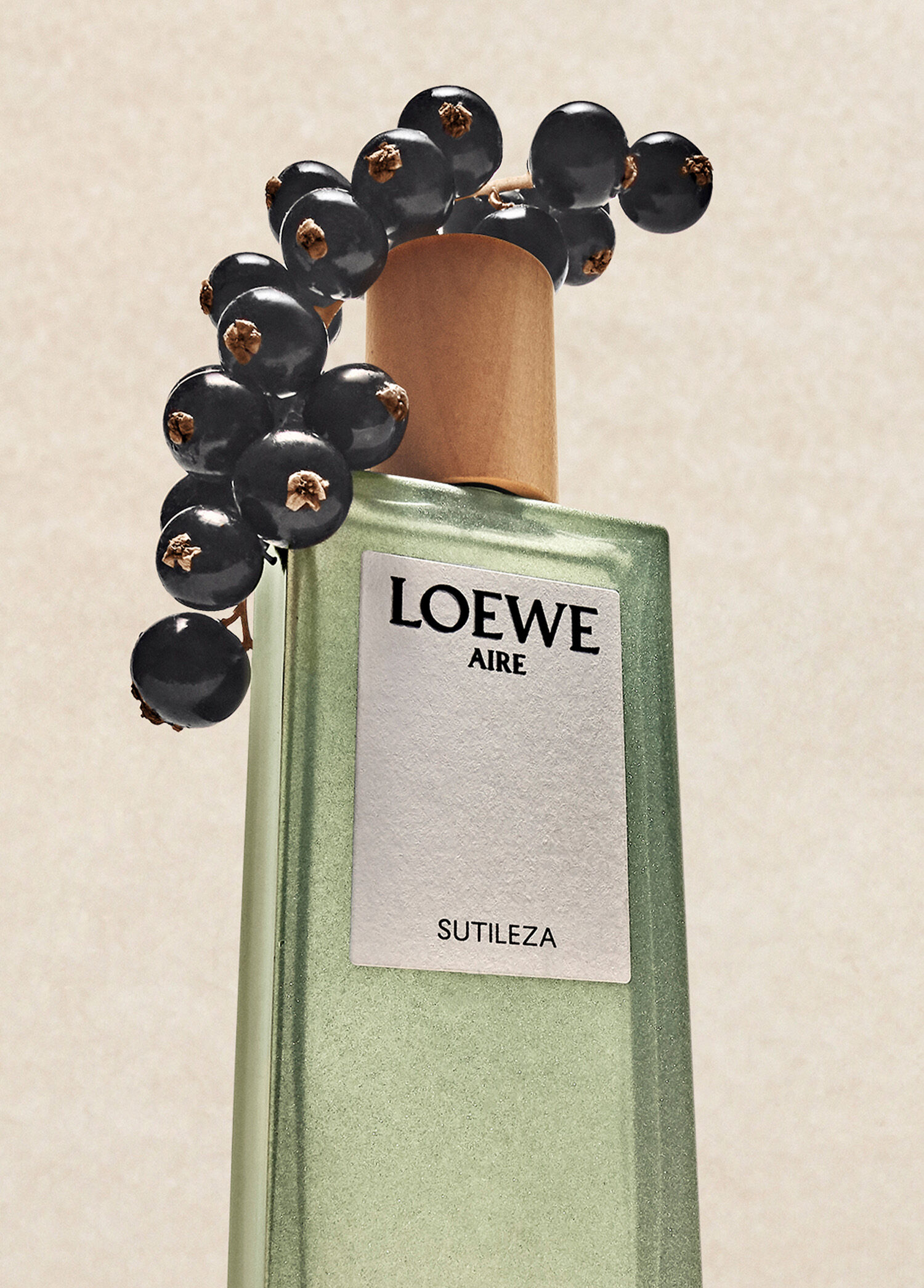 Loewe - Aire Sutileza EDT 50 ml Kadın Parfüm -