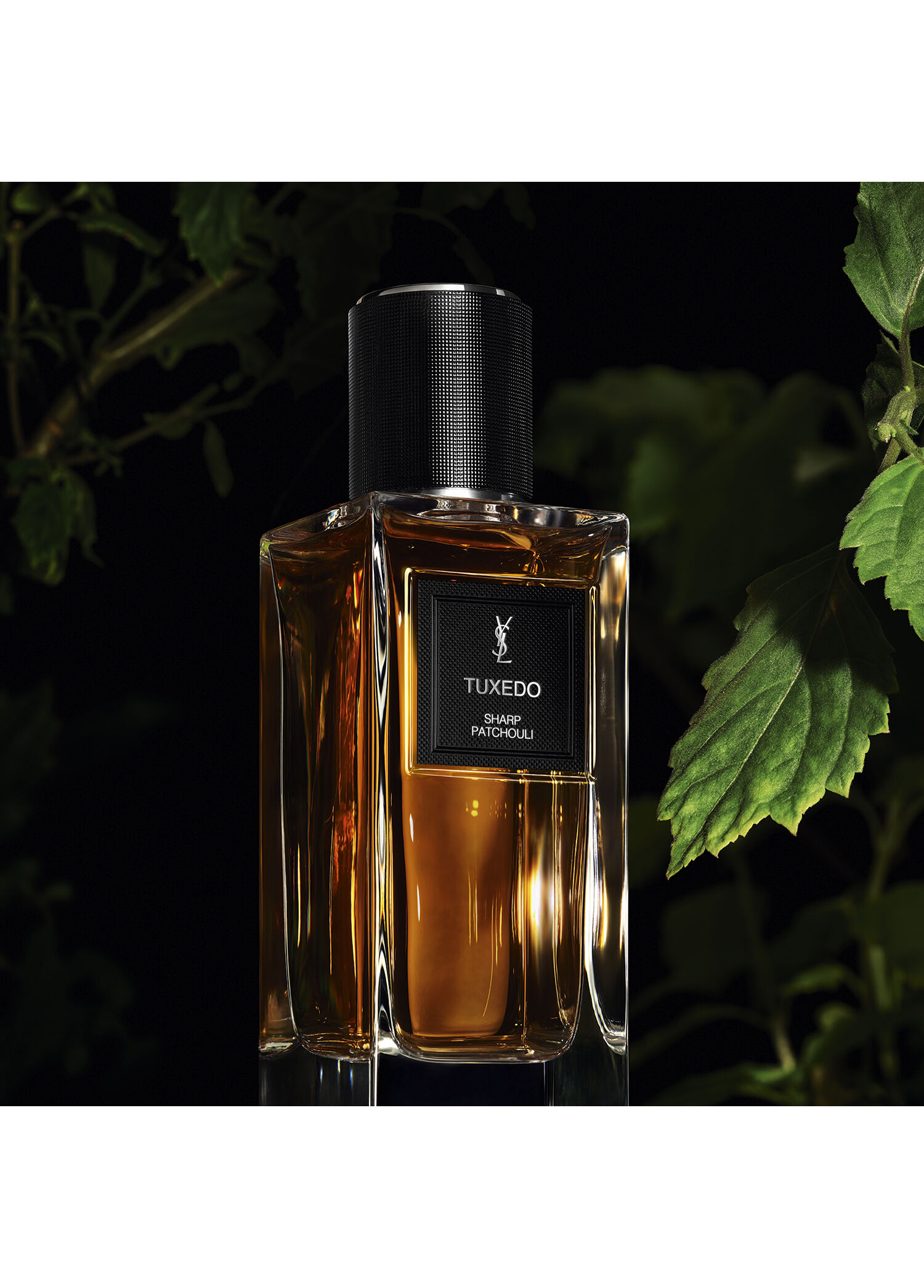 Yves Saint Laurent - Le Vestiaire Des Parfums Tuxedo 75ml -