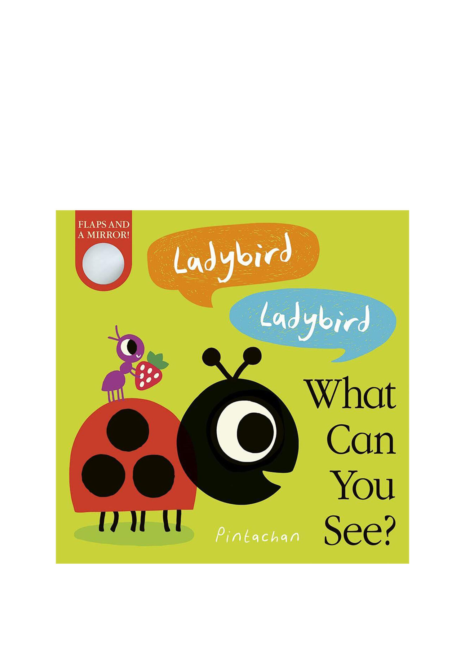 What Can You See?: Ladybird! Ladybird! Çocuk Yabancı Dil Kitabı