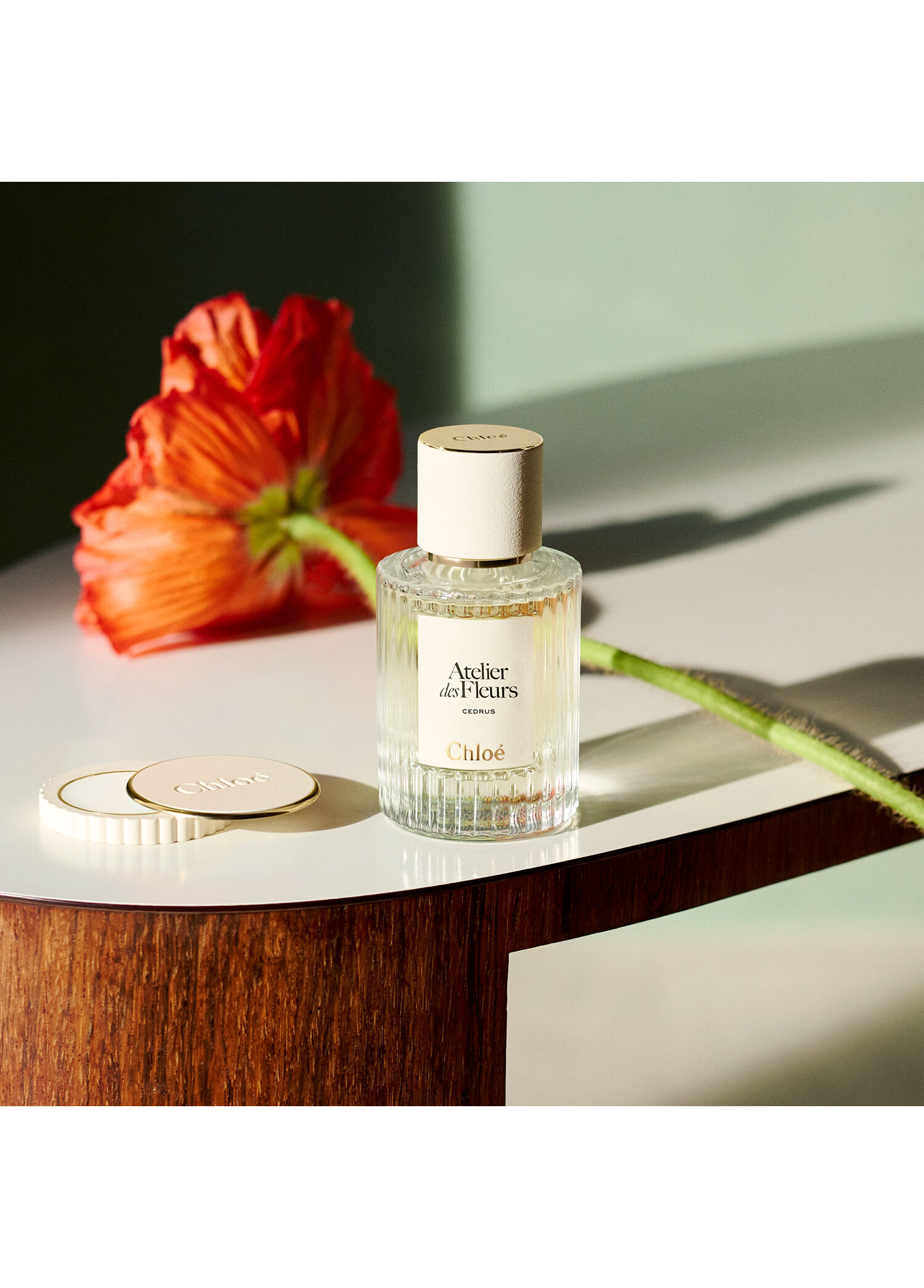 Chloe - Atelier des Fleurs Cedrus Edp 50 ML -