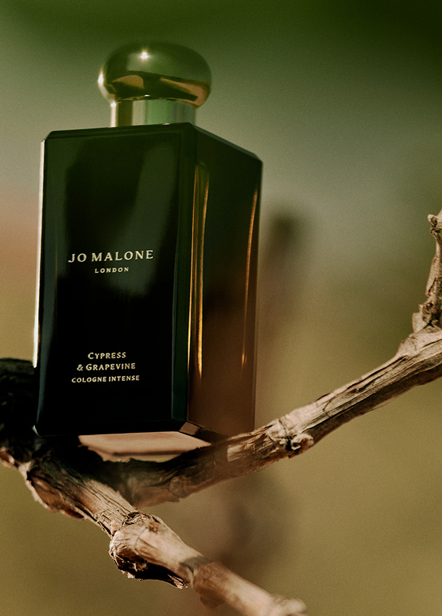 Jo Malone London - Cypress & Grapevine Cologne Intense 50ml -