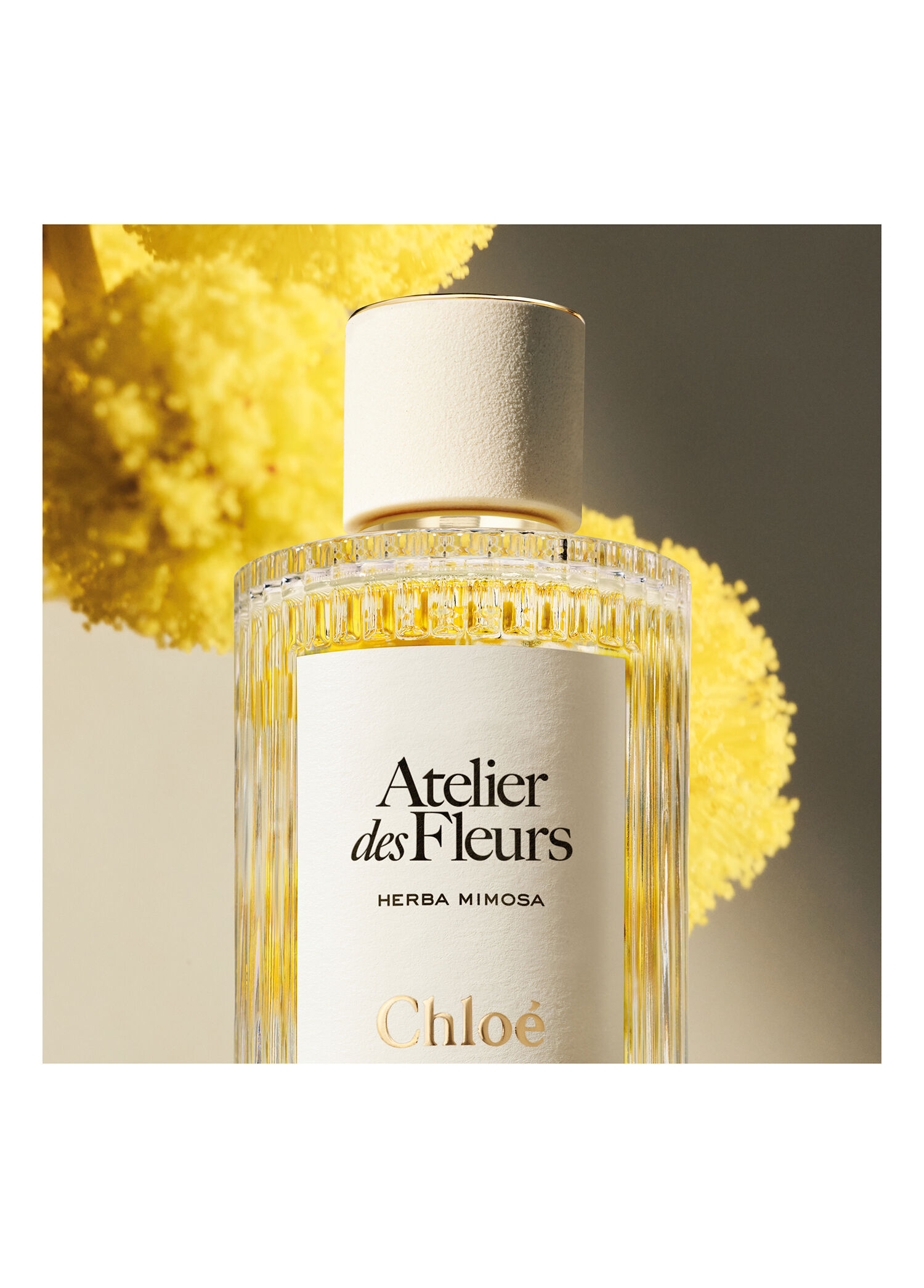 フラワークロモス（デクピ）130枚　フランス　a186 Chloe - Atelier Des Fleurs Herba Mimosa Edp 150 ml -