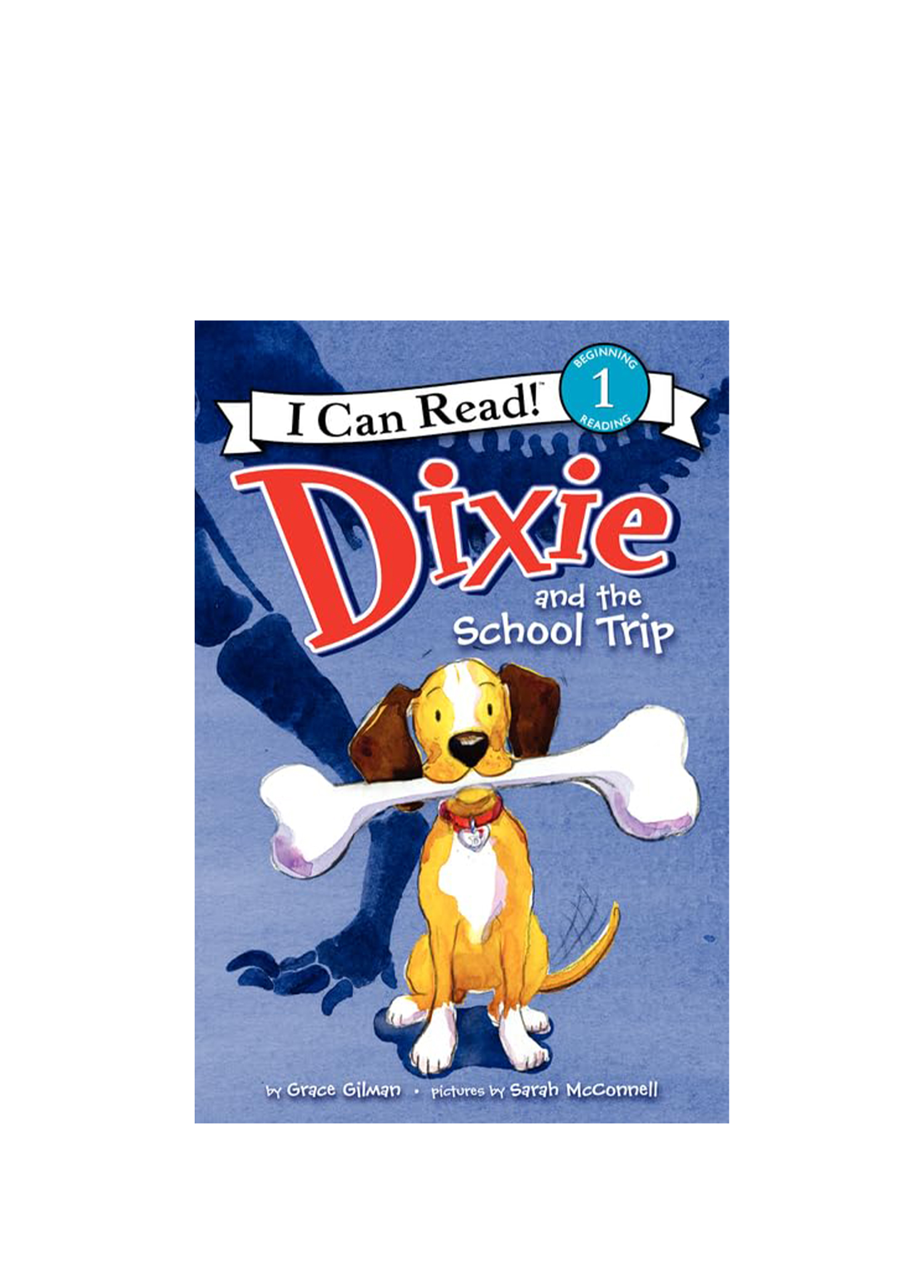 Dixie and the School Trip Çocuk Yabancı Dil Kitabı