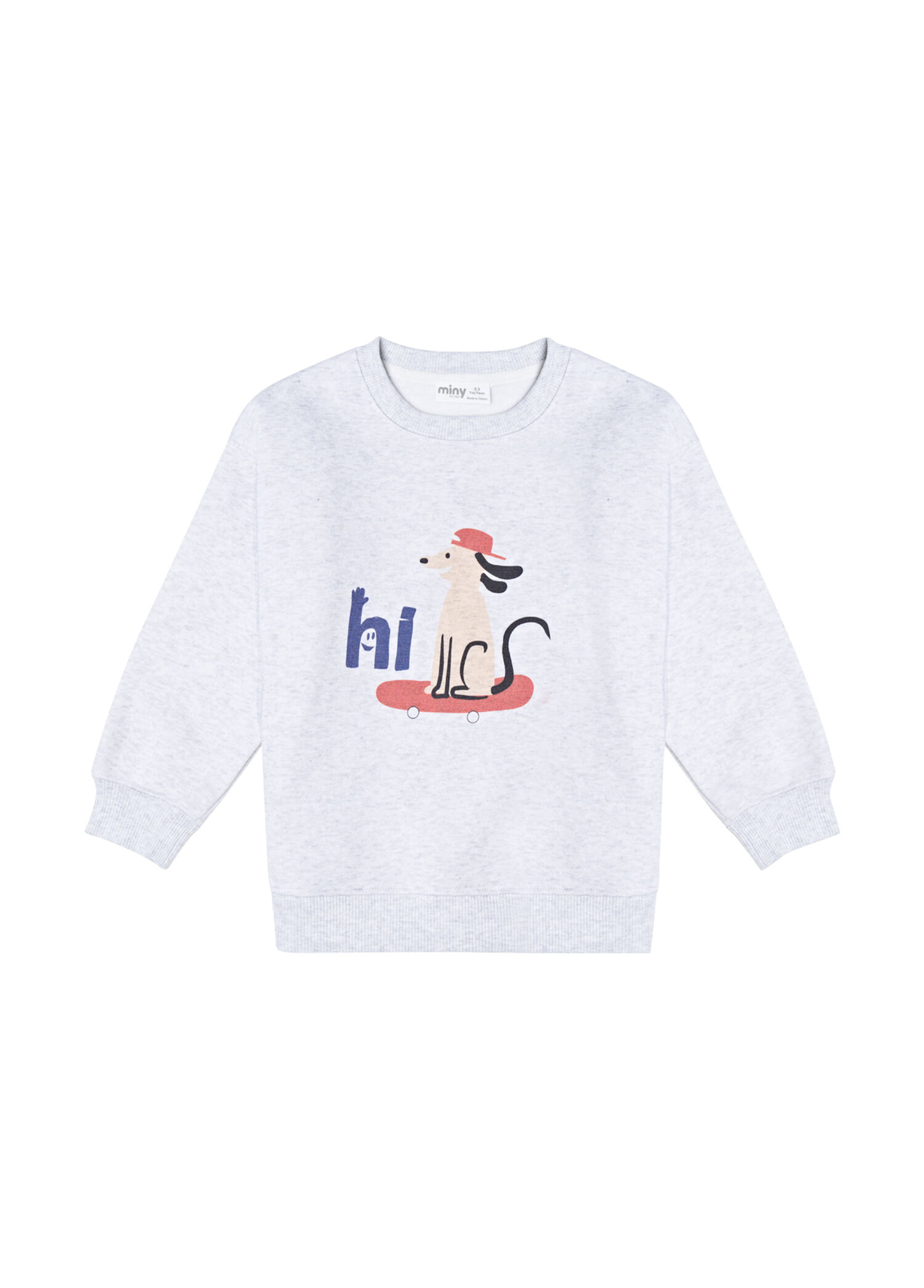 Gri Baskılı Erkek Çocuk Sweatshirt