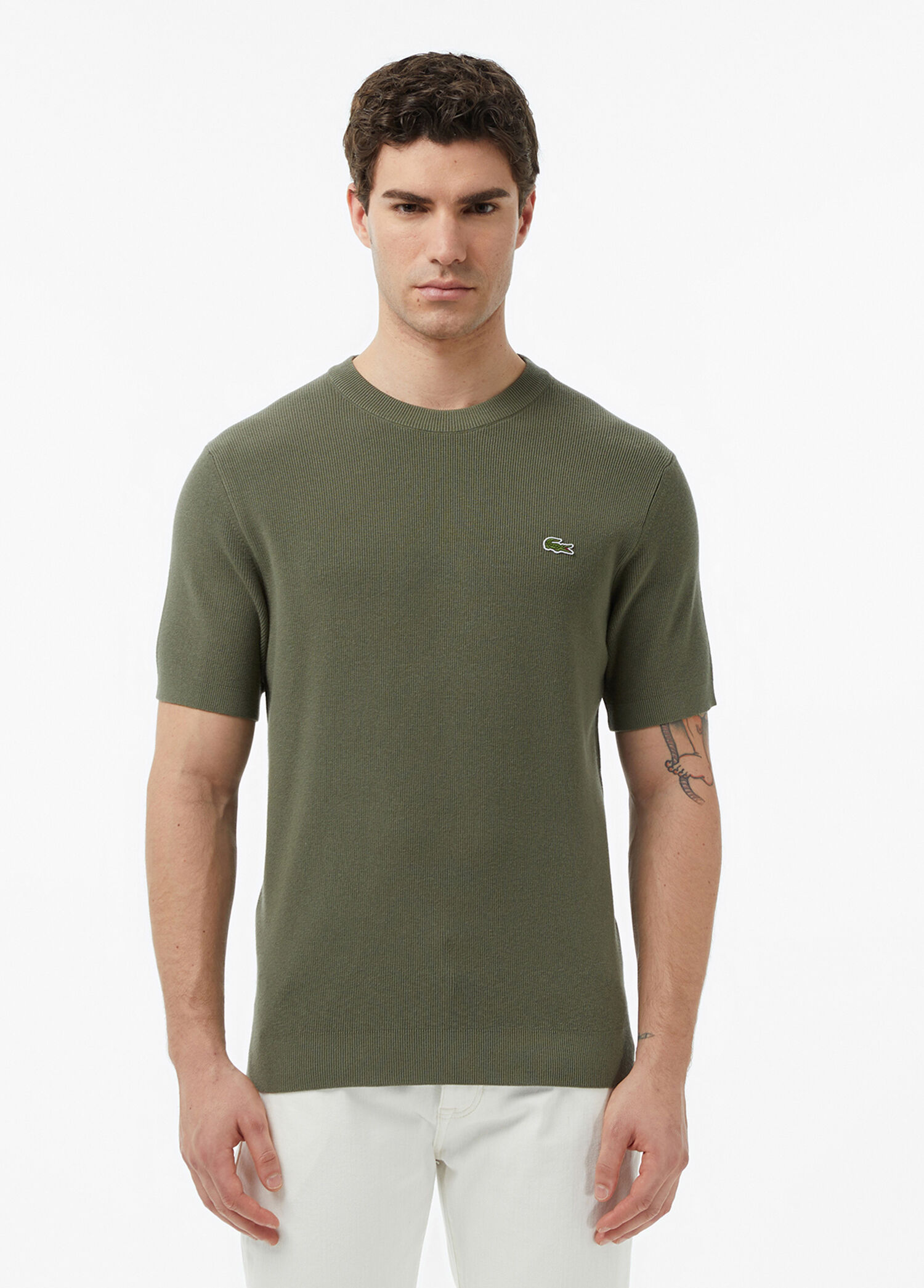 Haki Classic Fit Bisiklet Yaka Kısa Kollu Erkek Triko Kazak