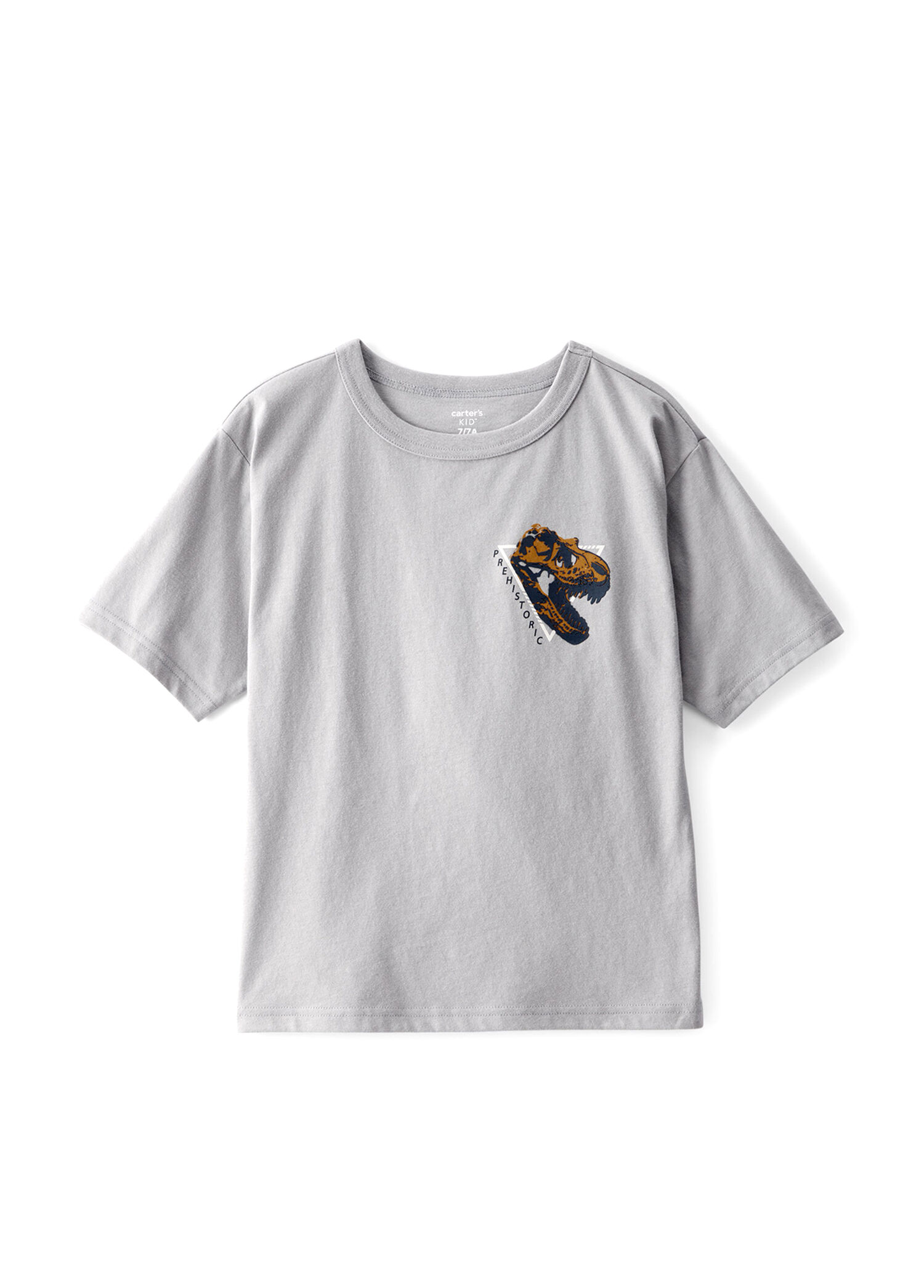 Gri Dinazor Baskılı Kısa Kollu Erkek Çocuk T-shirt