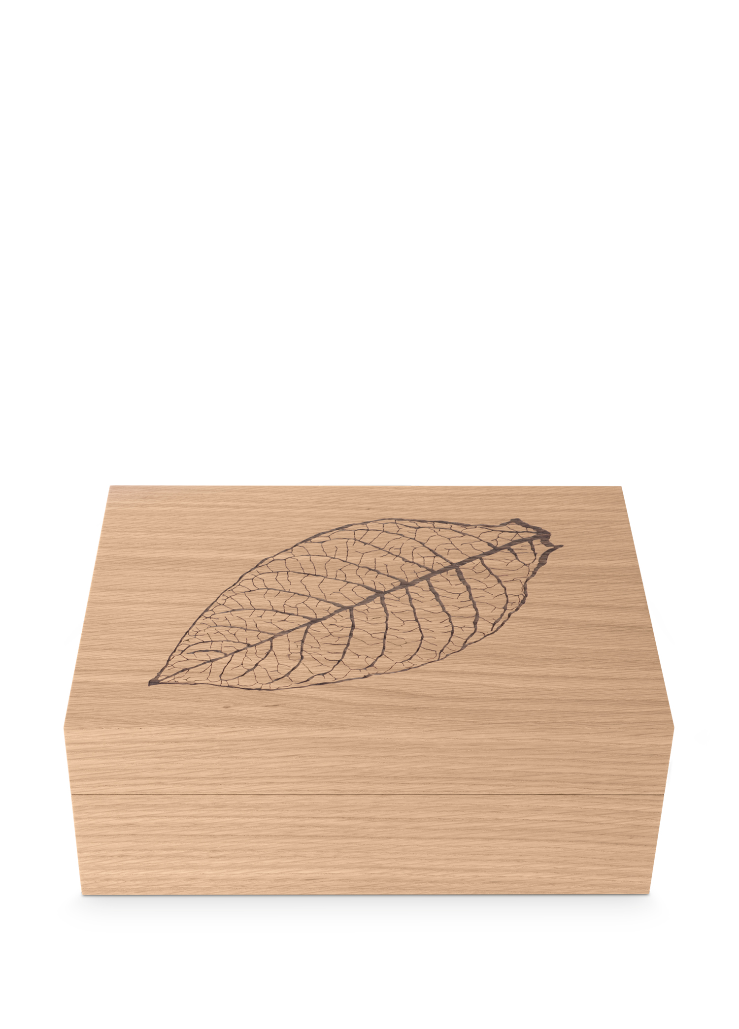 Zino Humidor Z60 Leaf Natural Oak Puro Kutusu