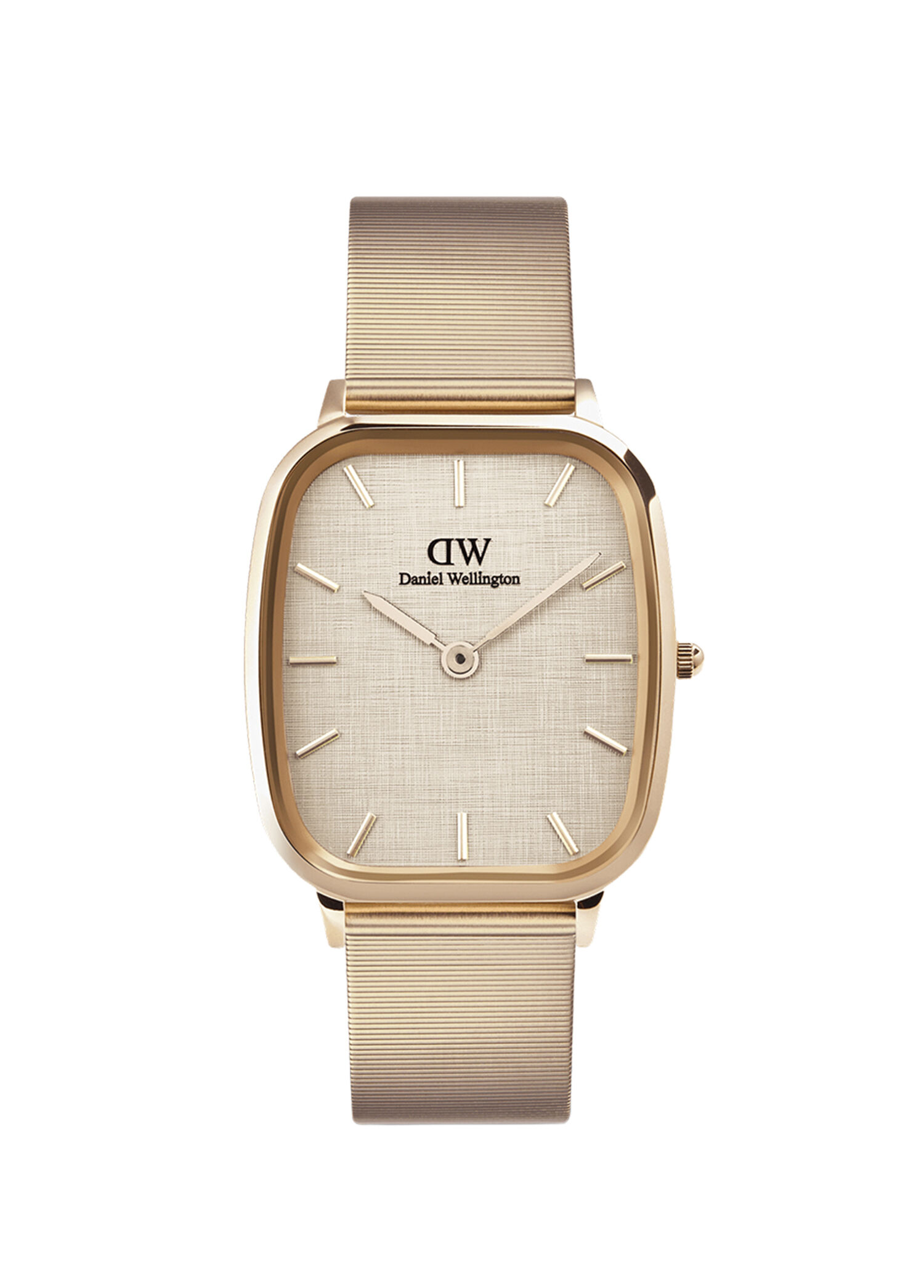 DW00600815 Rose Gold Çelik Erkek Kol Saati