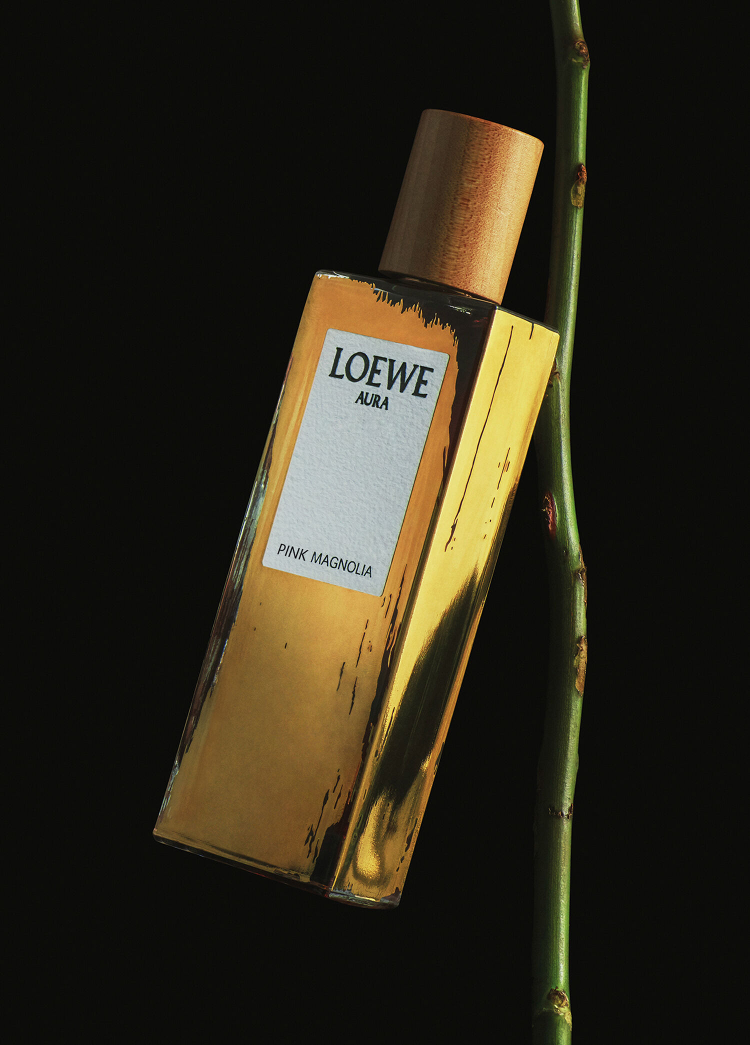 Loewe - Aura Pink Magrnolia EDP 100 ml Kadın Parfüm -