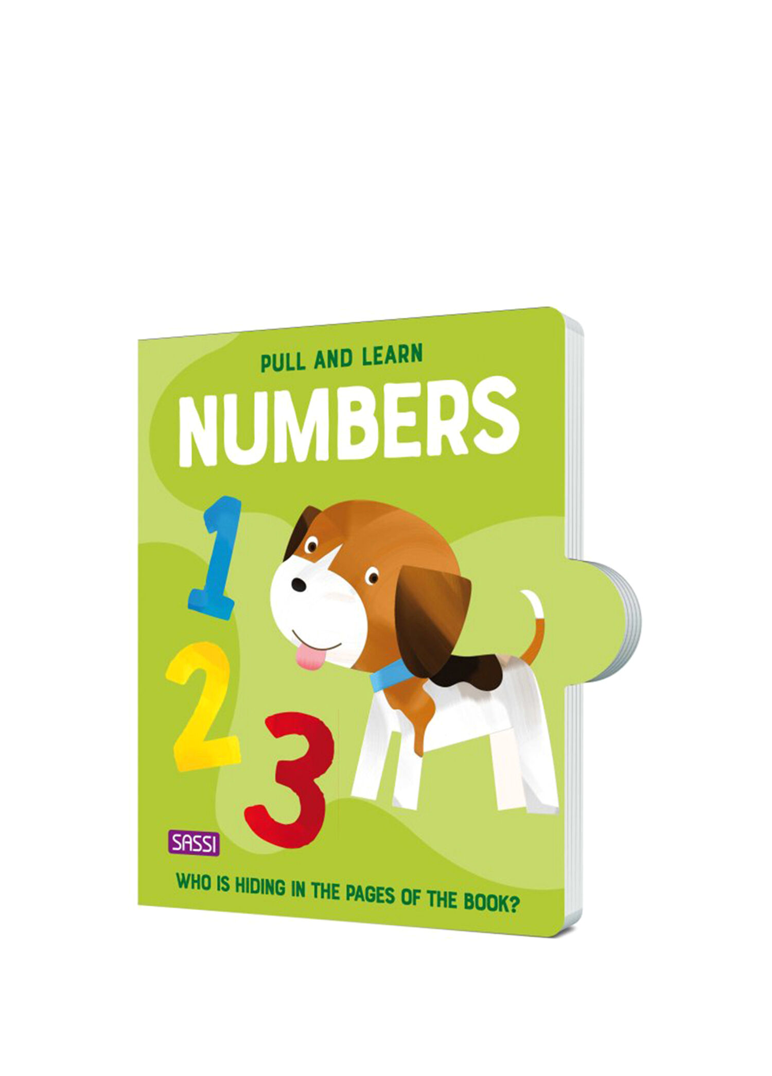 Pull And Learn Numbers Çocuk Yabancı Dil Kitabı