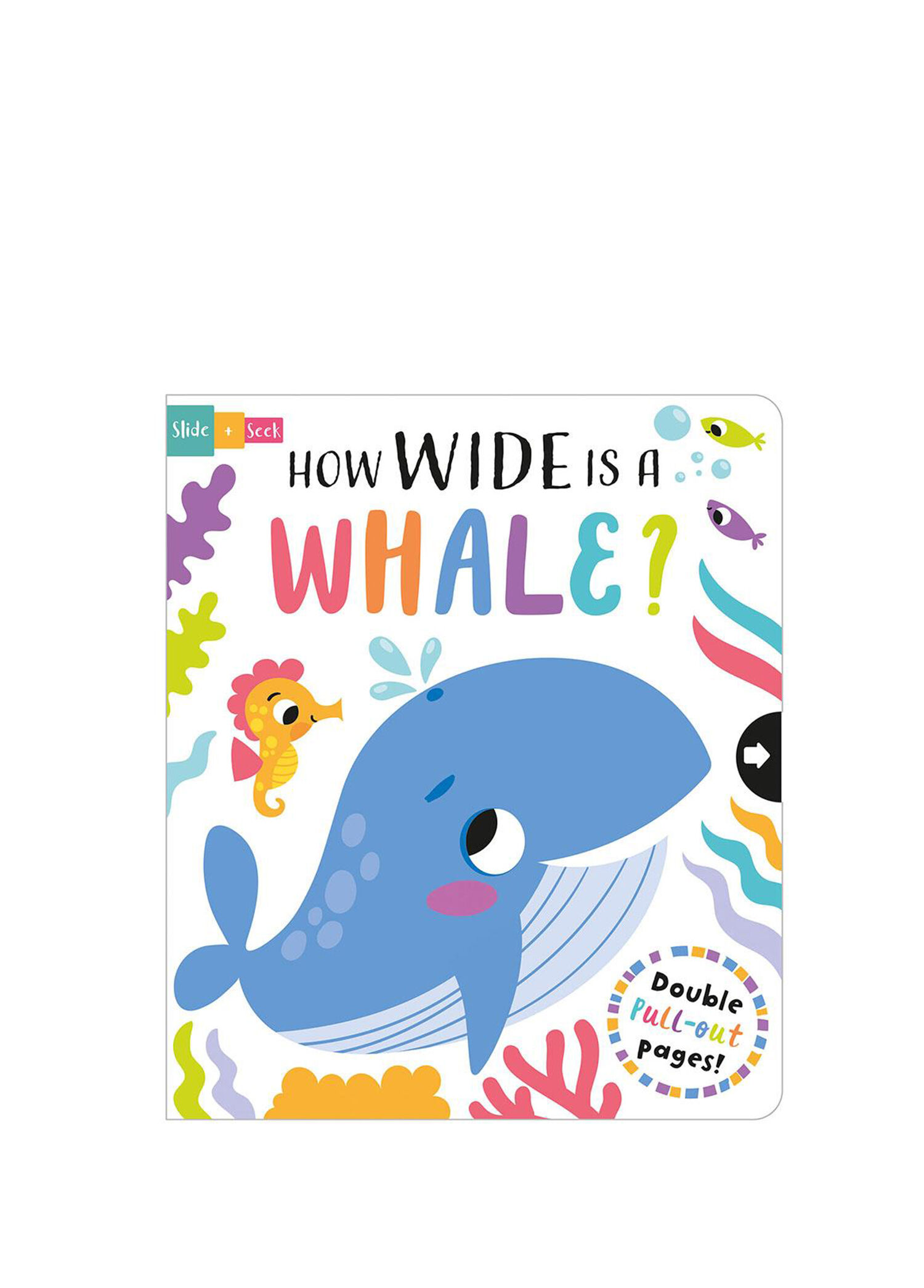 How Wide Is A Whale Board Çocuk Yabancı Dil Kitabı