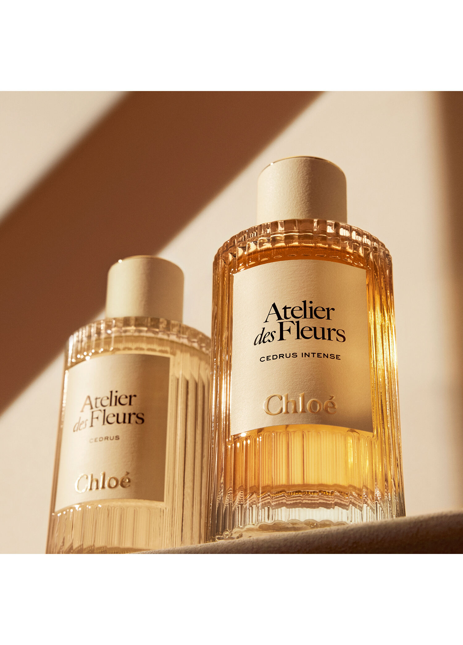 Chloe - Atelier Des Fleurs Cedrus Intense Edp 150 ml -
