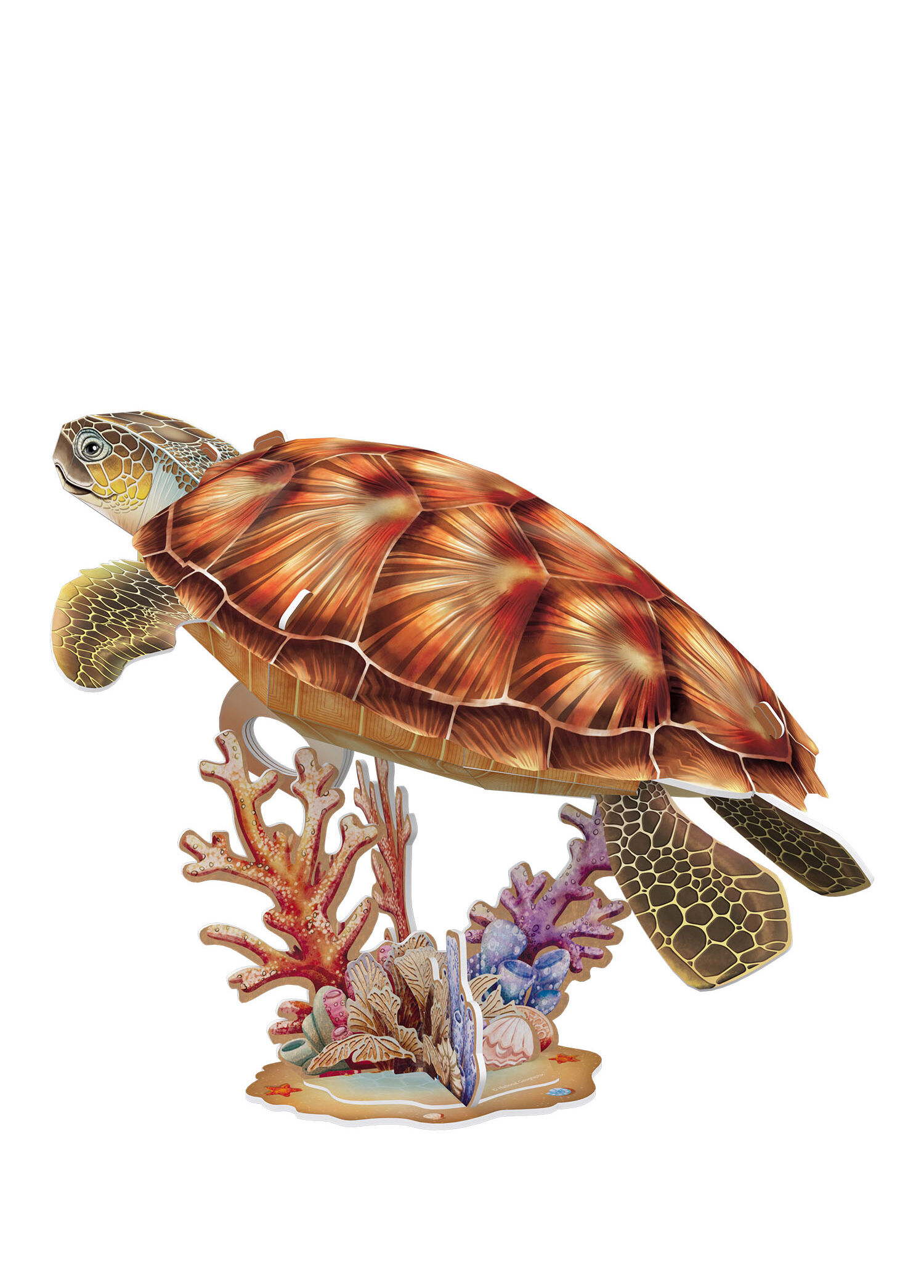 National Geographic Deniz Kaplumbağası 3D Puzzle 31 Parça