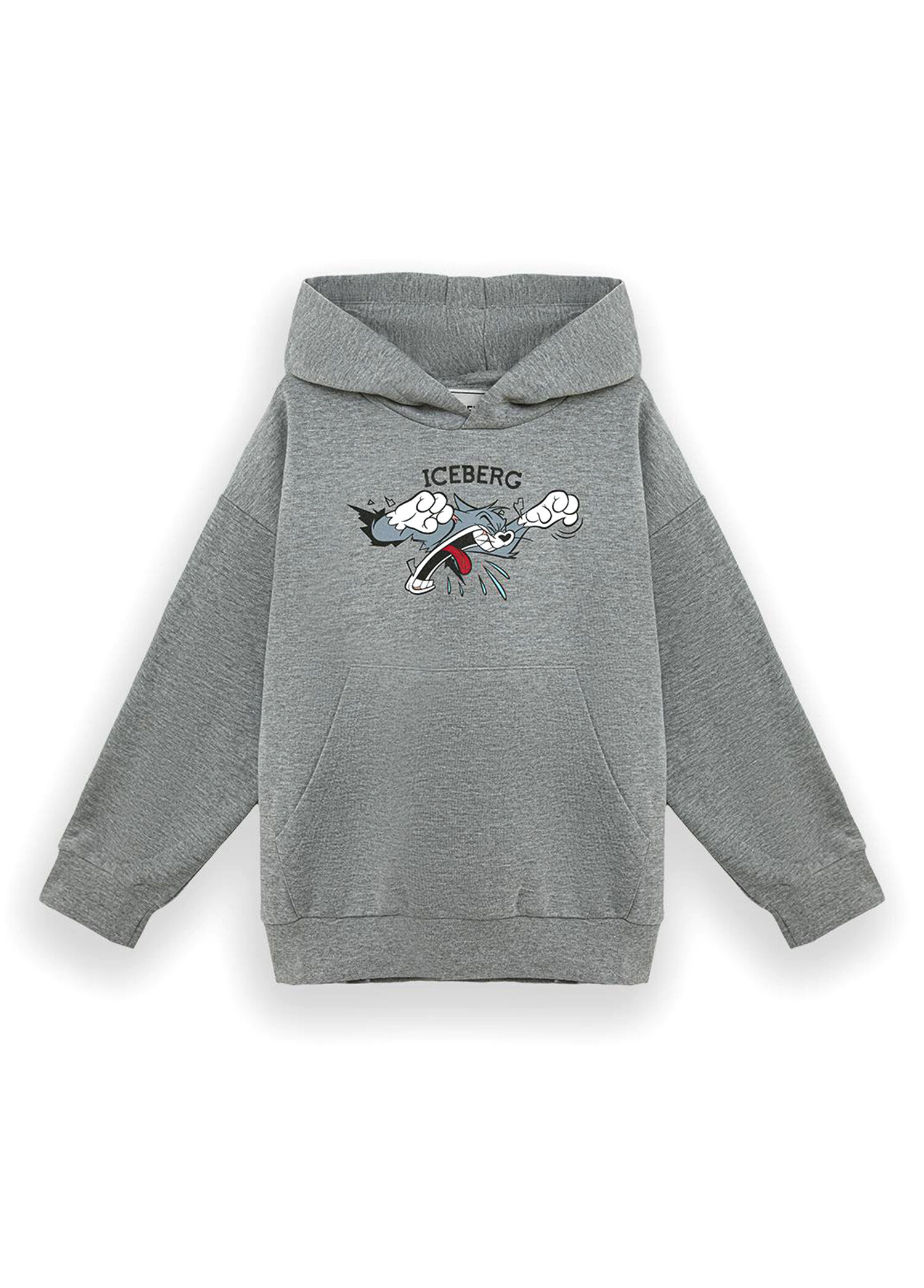 Gri Baskılı Kapüşonlu Erkek Çocuk Sweatshirt