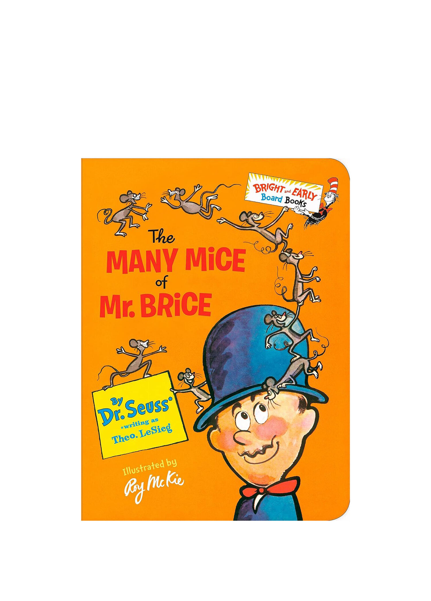 The Many Mice of Mr. Brice Çocuk Yabancı Dil Kitabı