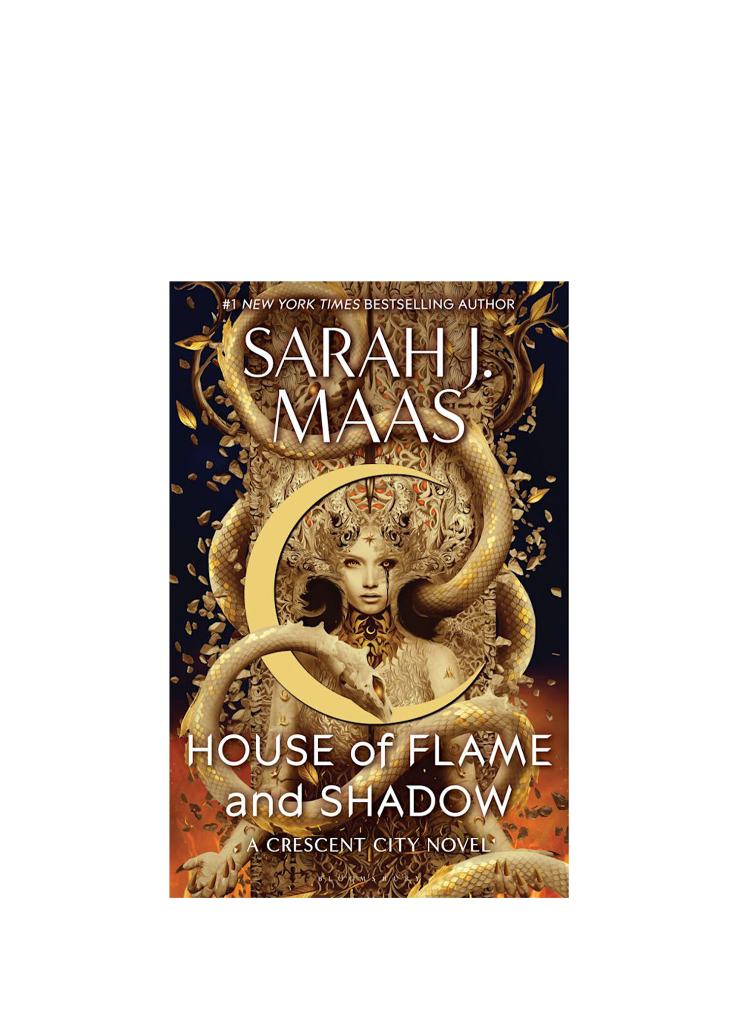 House of Flame And Shadow Yabancı Dil Kitabı