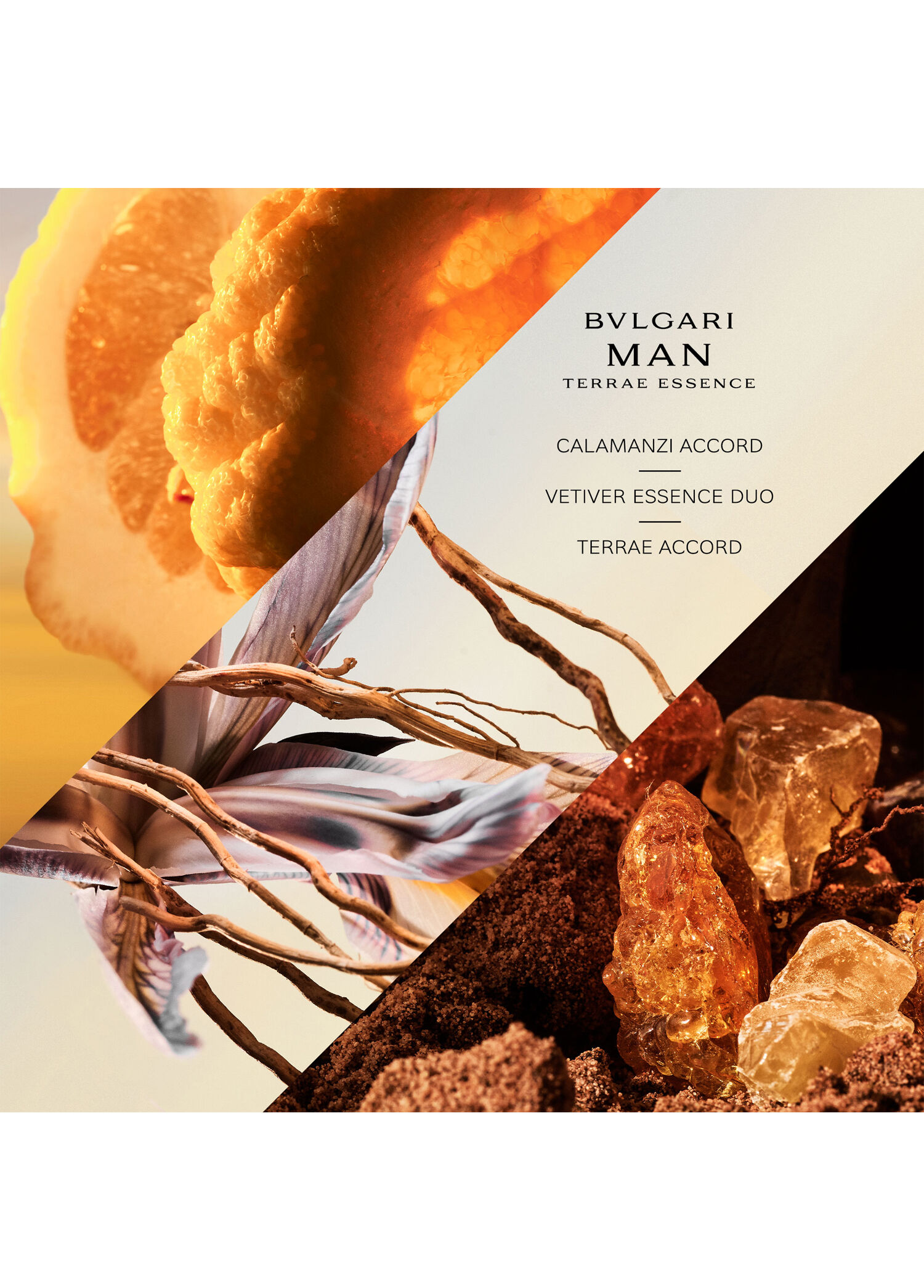 Bvlgari - Bvlgari Man Terrae Essence EDP 100 ml -