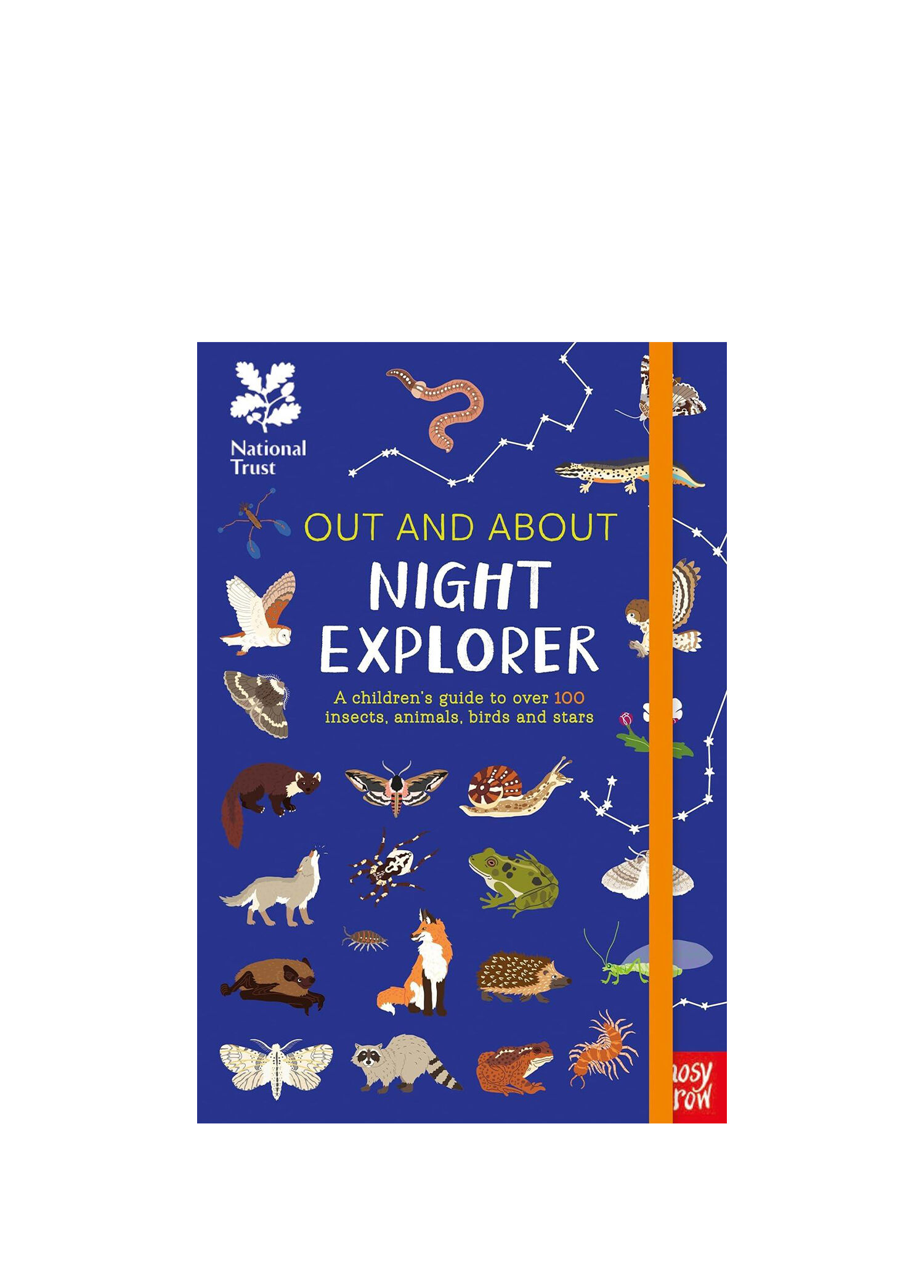 National Trust: Out and About Night Explorer Çocuk Yabancı Dil Kitabı
