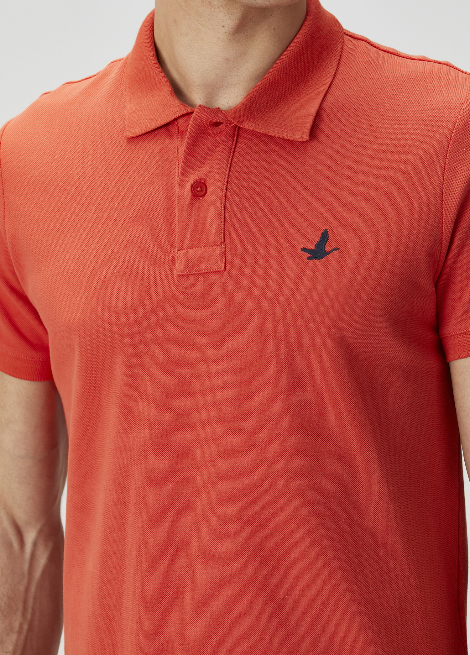 Kiremit Polo Yaka T-shirt_4
