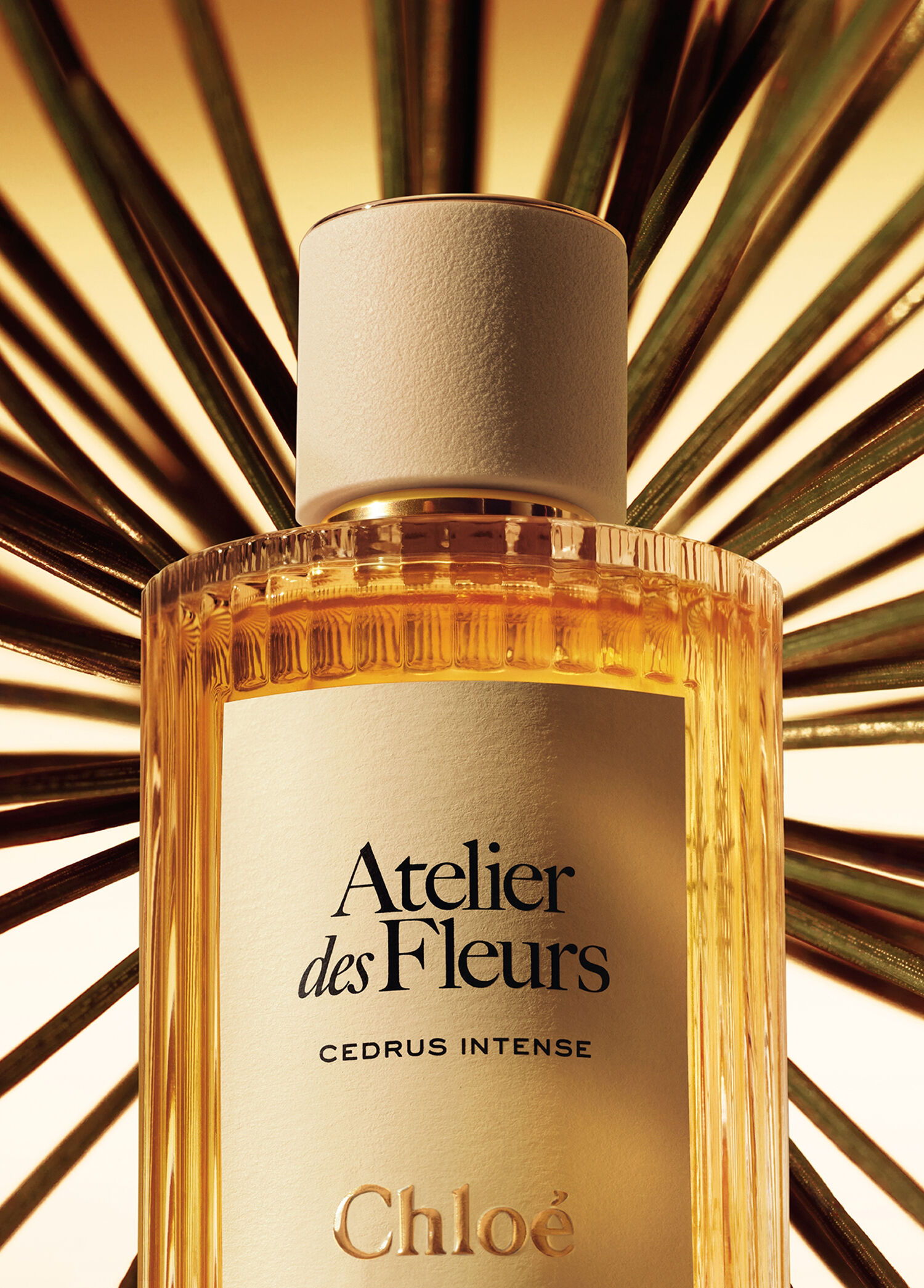 Chloe - Atelier des Fleurs Cedrus Intense EDP 50 ml -