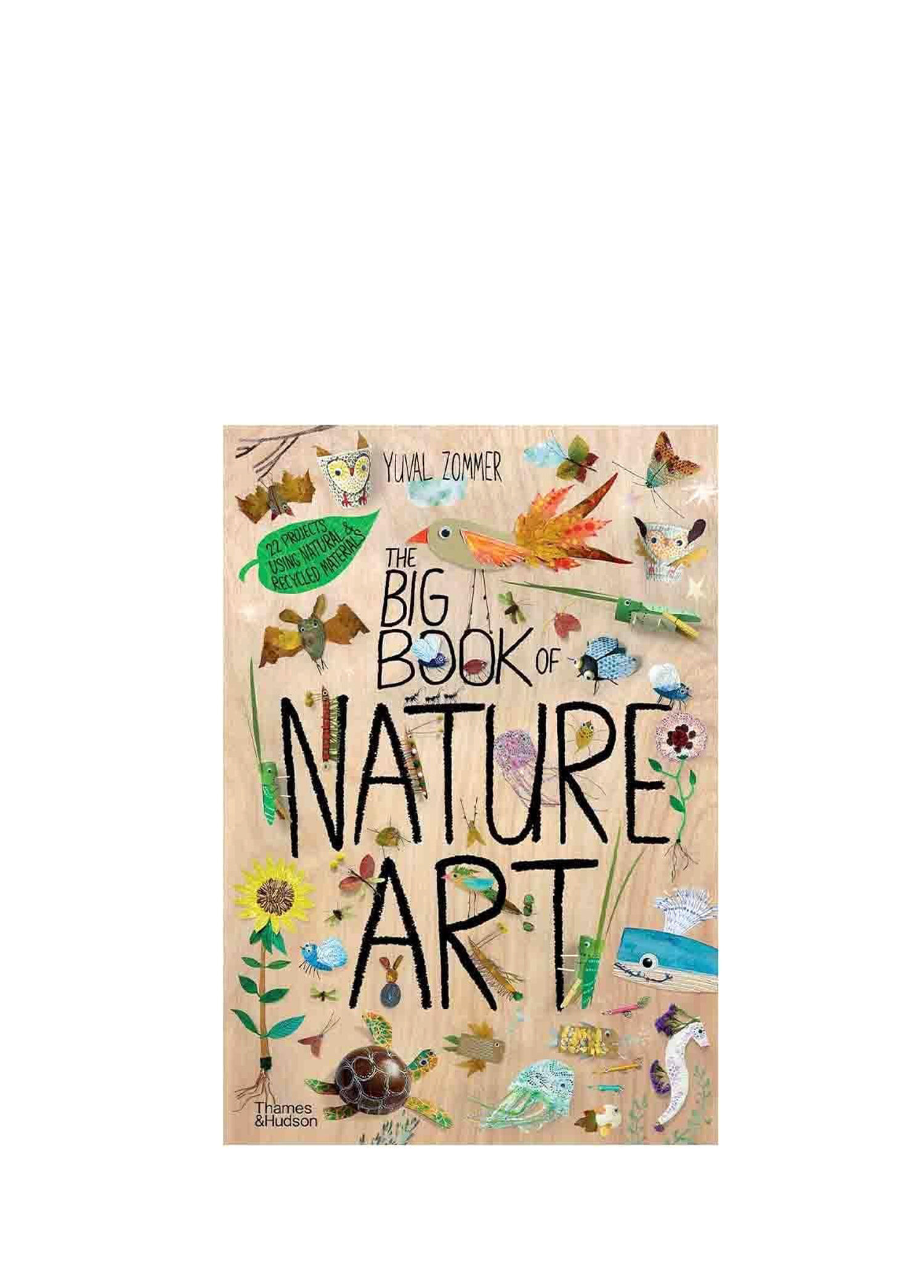 The Big Book Of Nature Art - Hardback