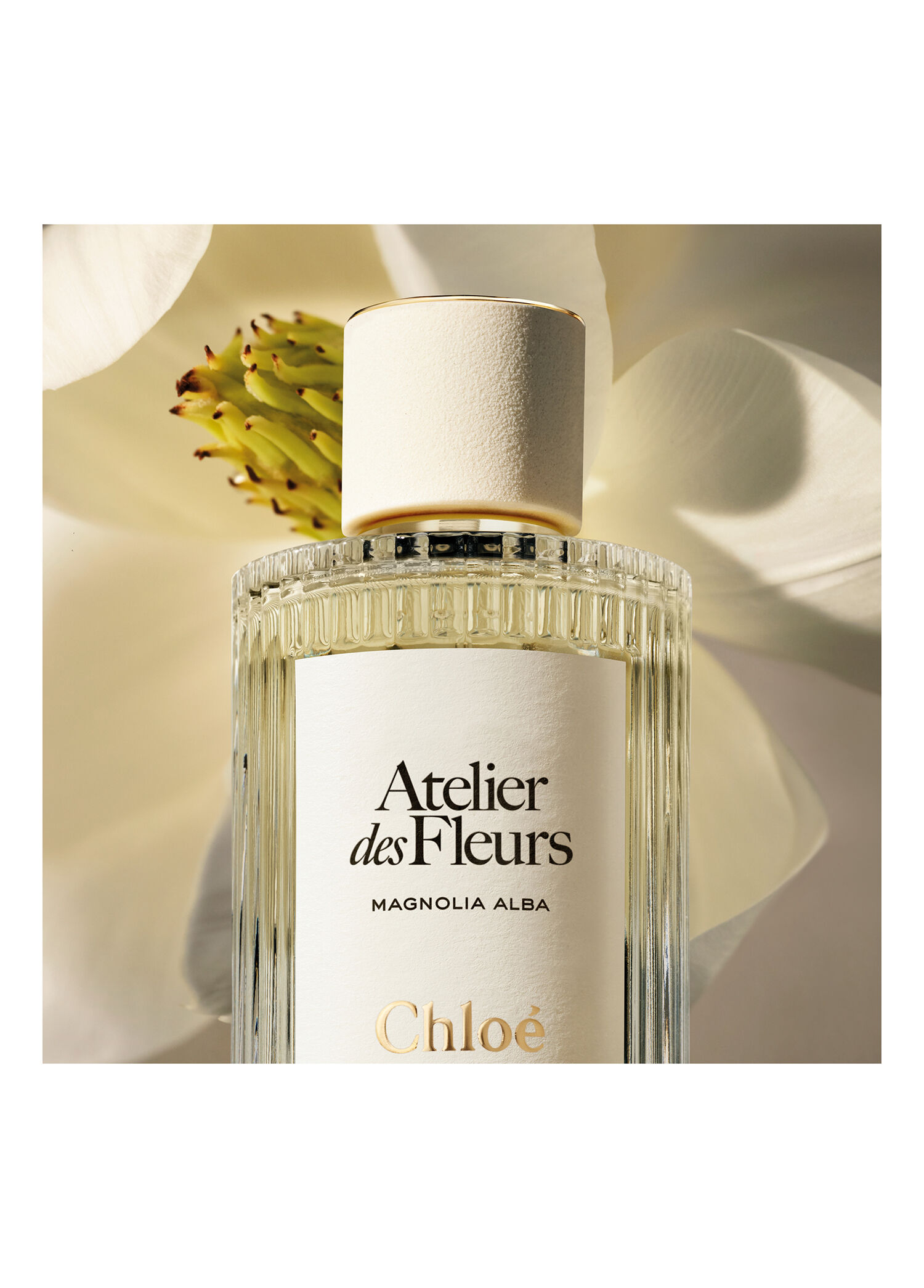 Chloe - Atelier des Fleurs Magnolia Alba Edp 50 ml -