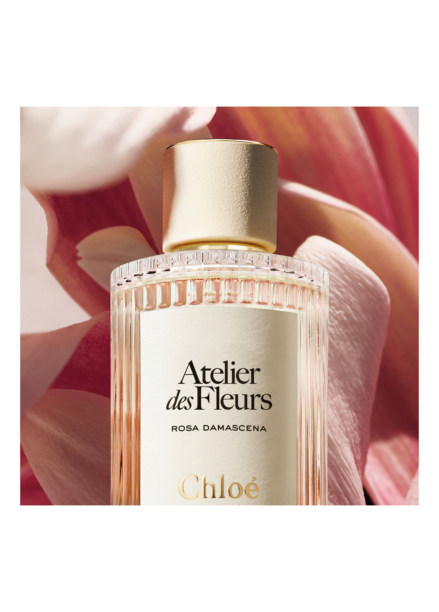 Chloe - Atelier des Fleurs Rosa Damascena Edp 50 ML -
