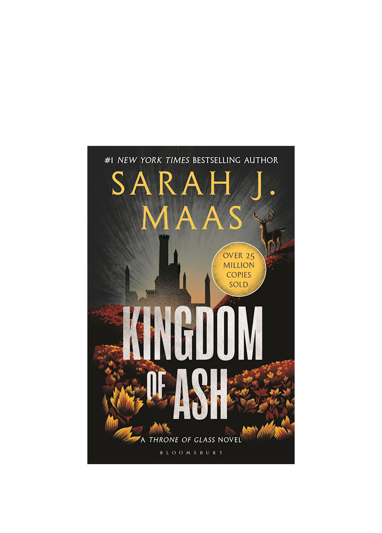 Kingdom of Ash Yabancı Dil Kitabı