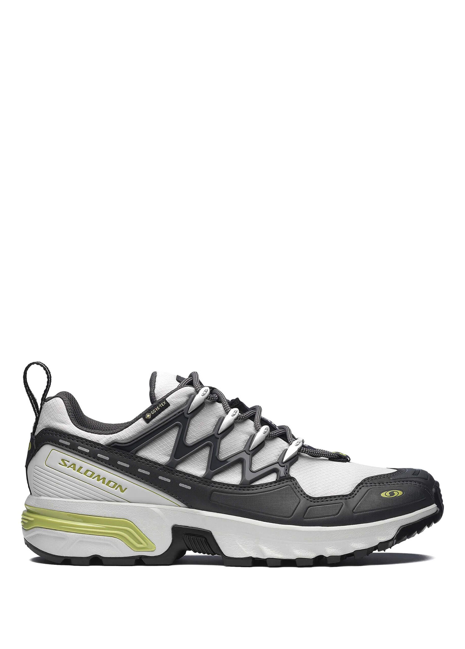 ACS+ Gore-Tex Gray Violet Unisex Sneaker
