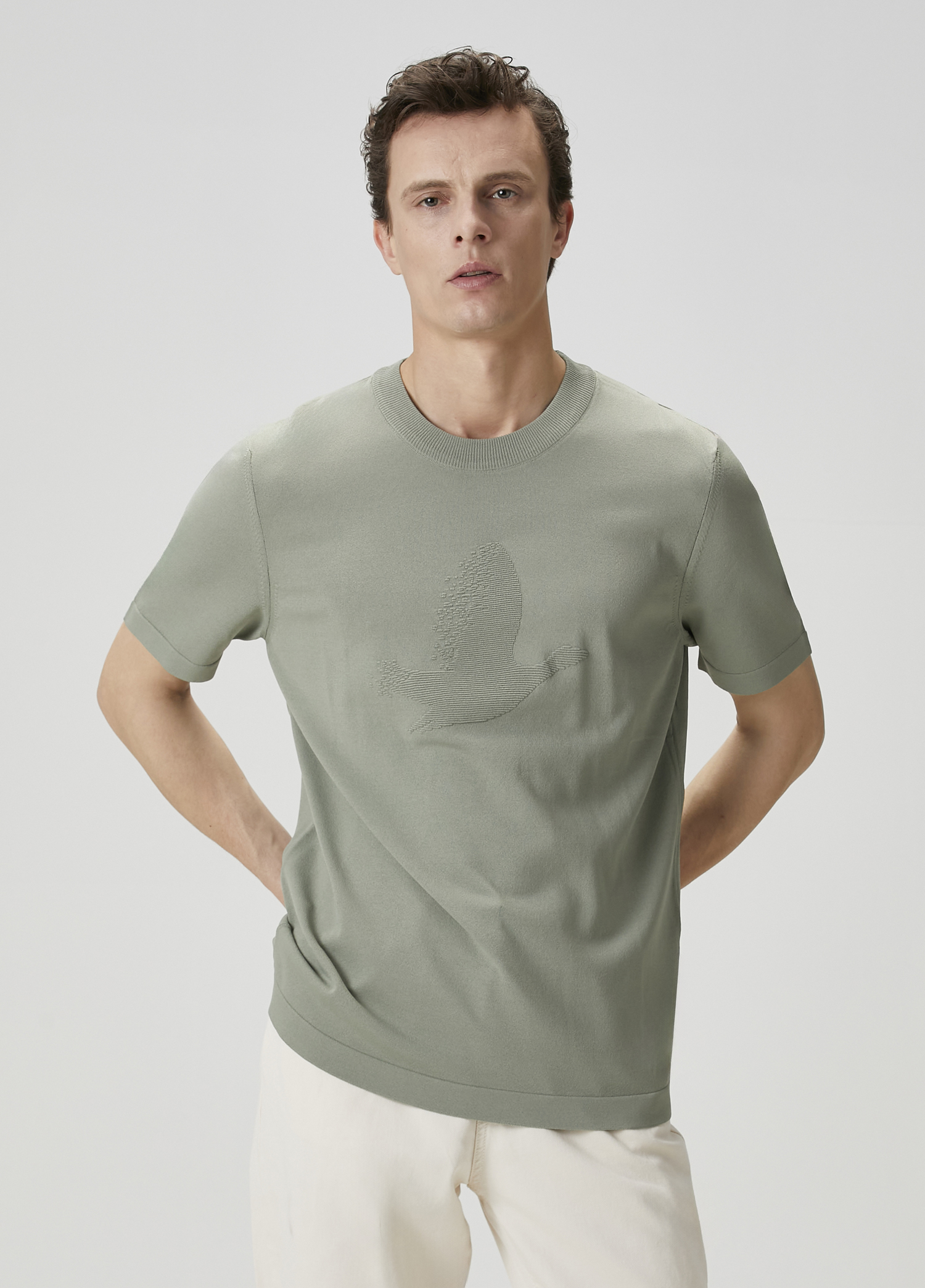 Clear Khaki Logo Jacquard Short Sleeve Sweater