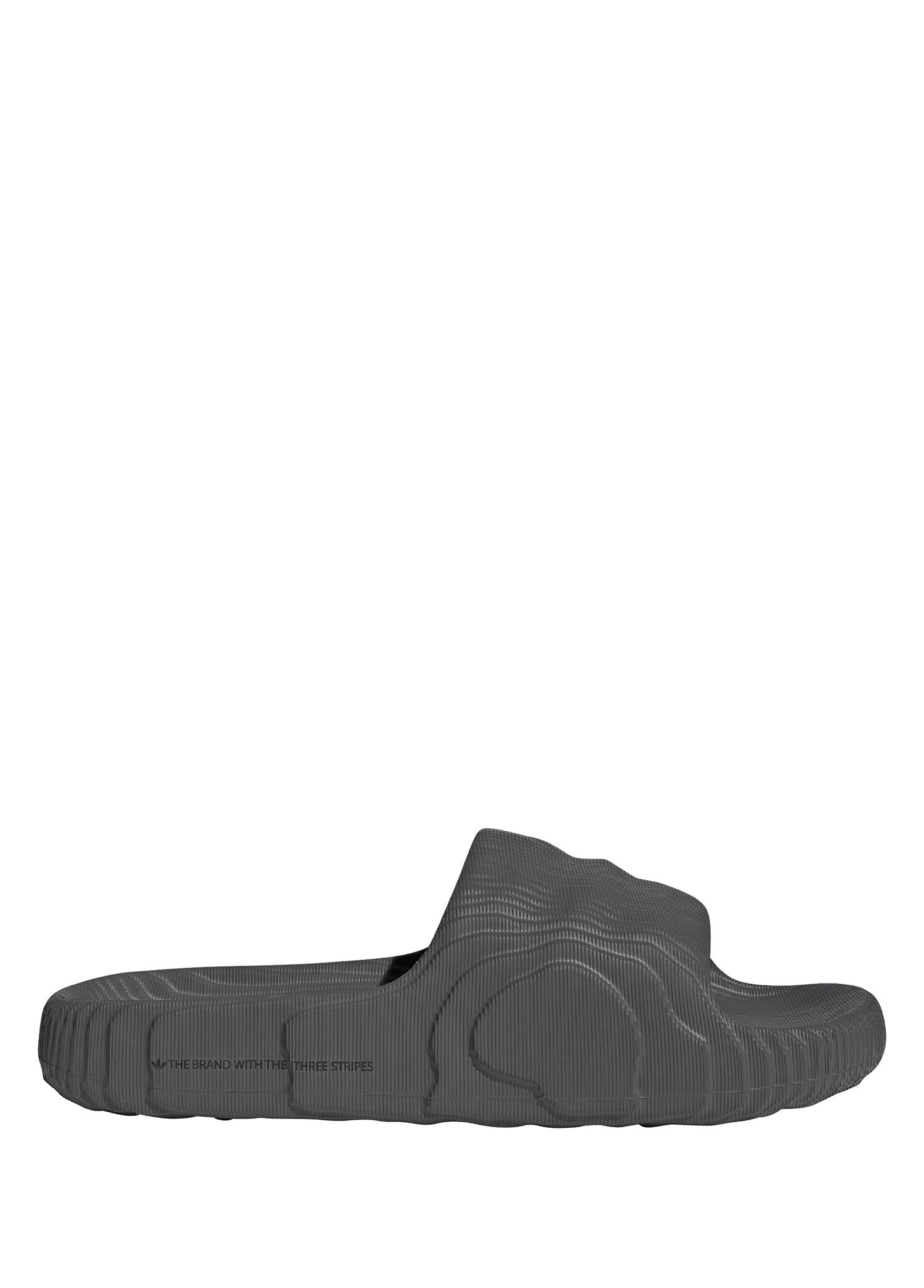 Adilette 22 Antrasit Erkek Terlik