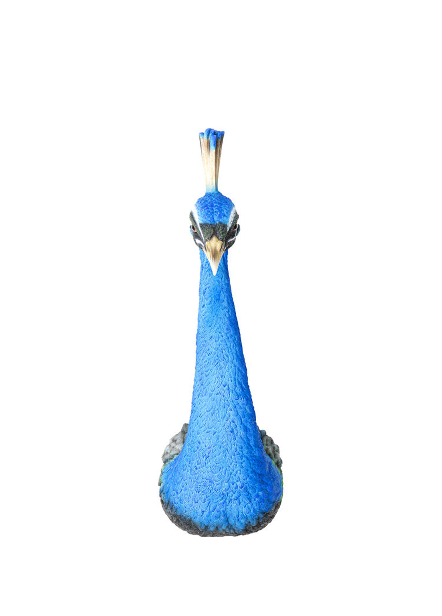 Peacock Duvar Süsü